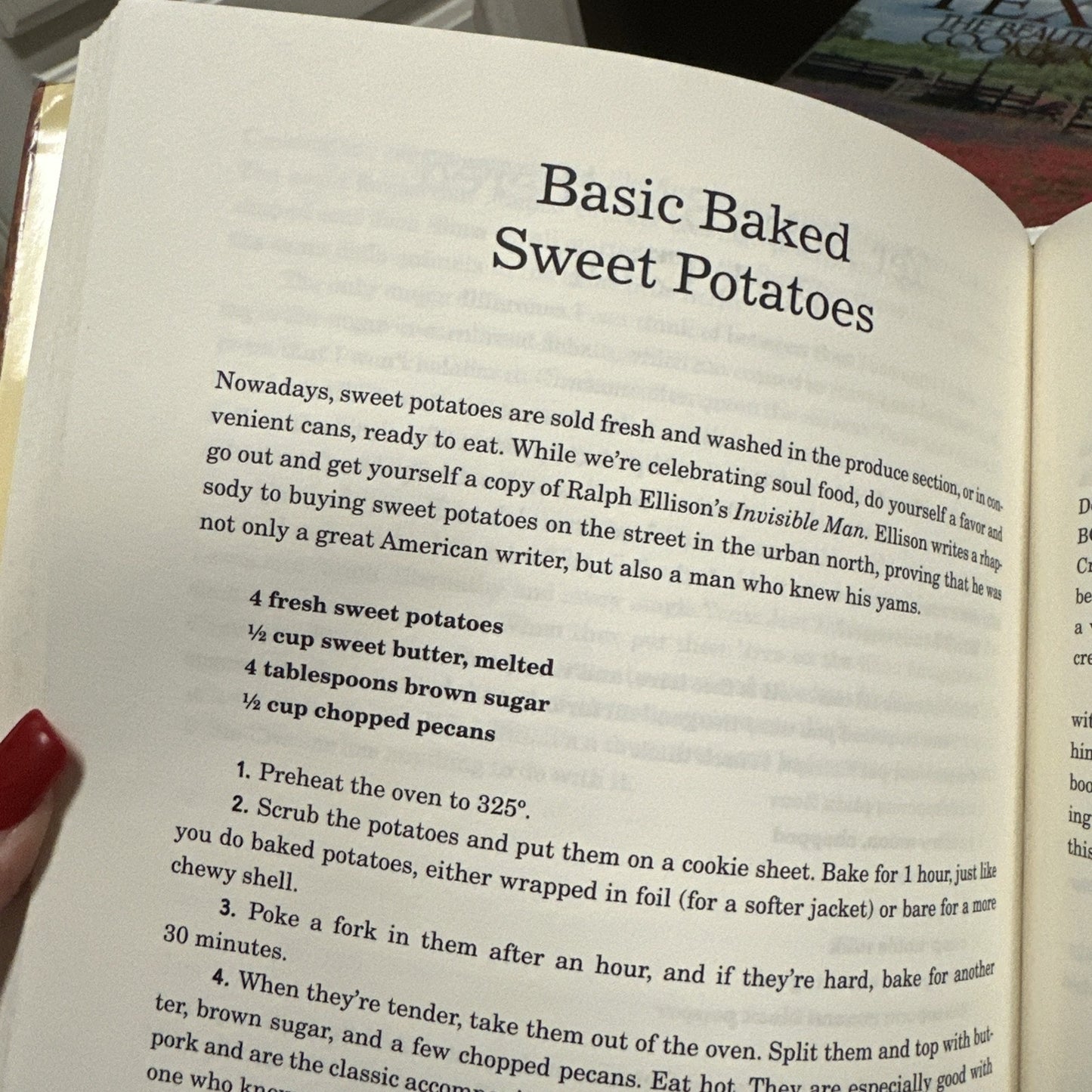 The Cracker Kitchen A Cookbook in Celebration of Cornbread-Fed Down Home Cooking