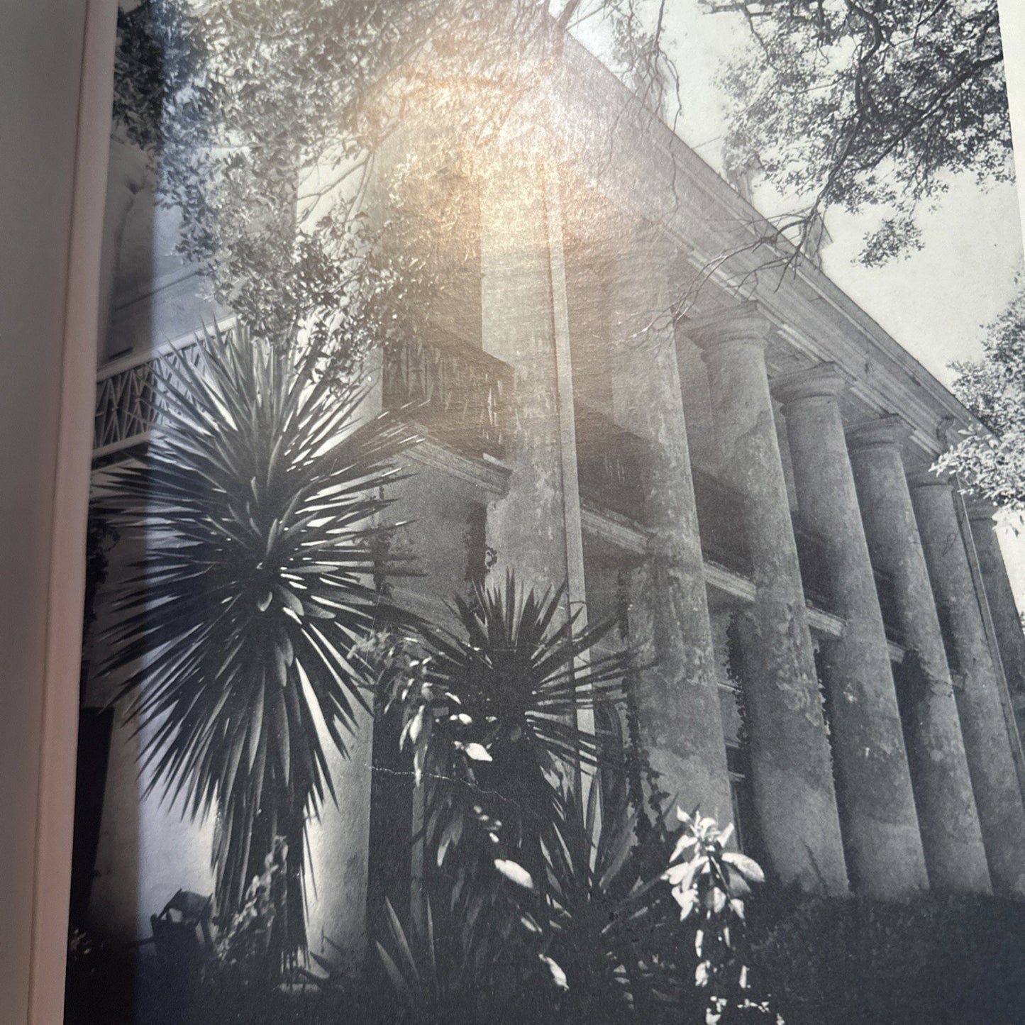 Ghosts Along the Mississippi: The Magic of the Old Houses of Louisiana, Loughlin