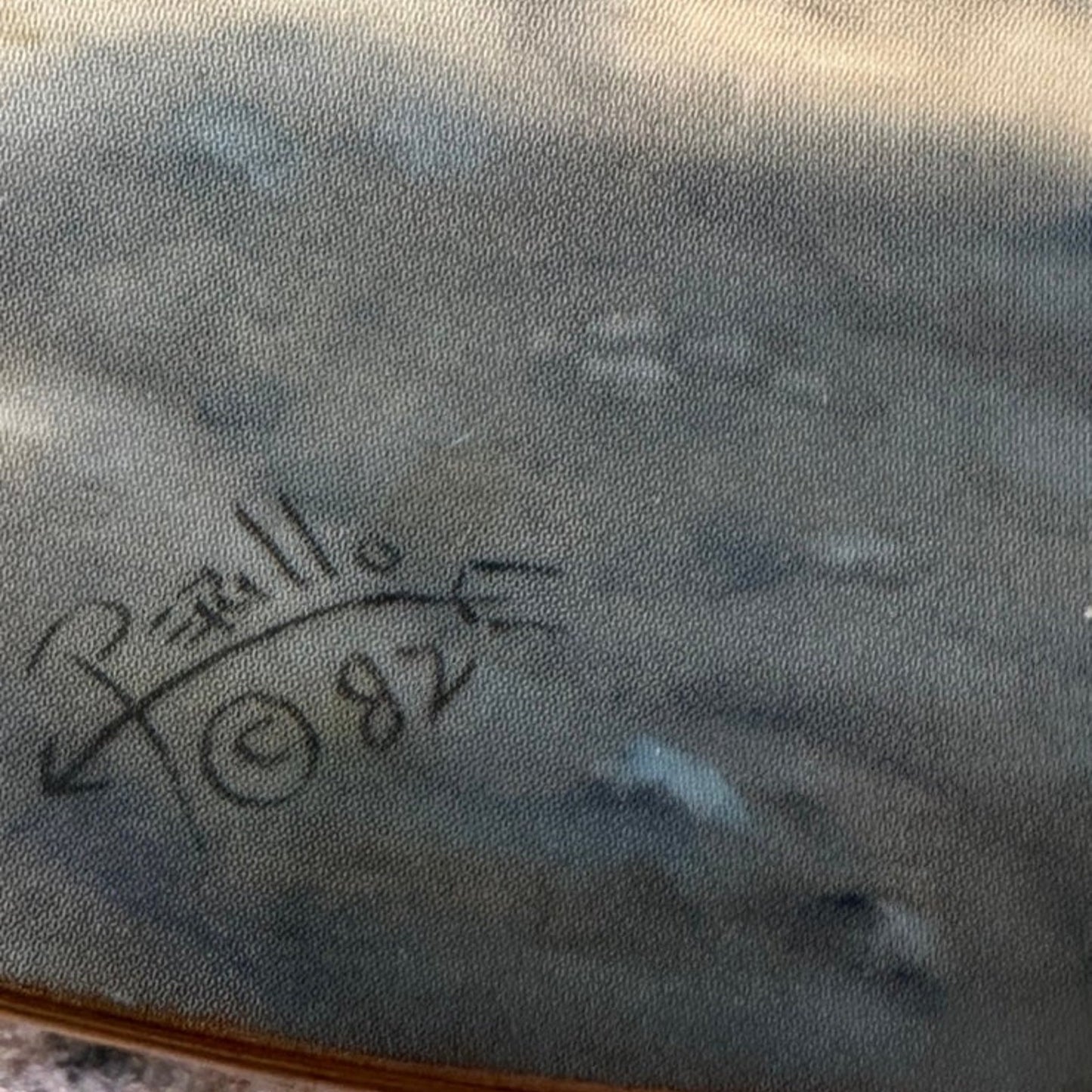 Perillo Southwest Collectible Plate