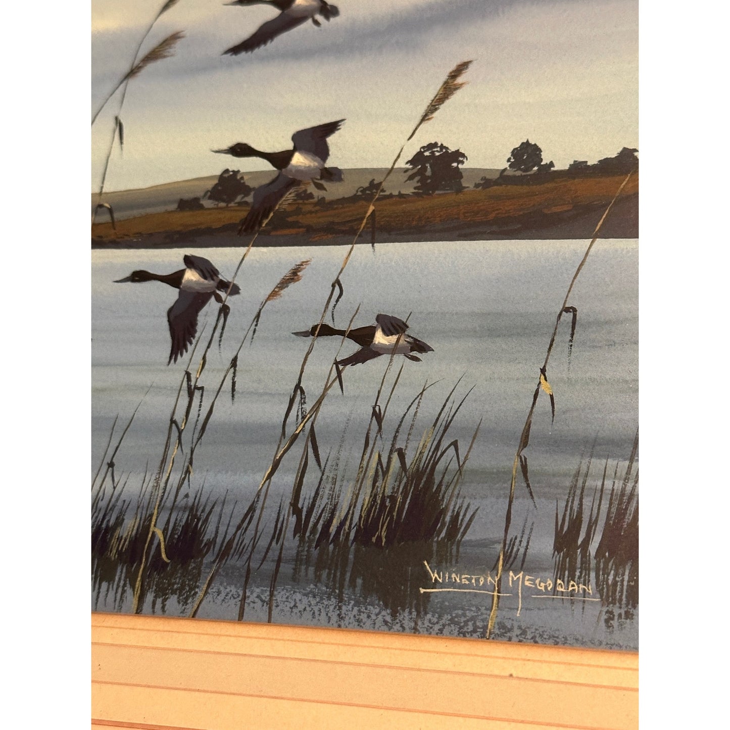 Along the coast, watercolour, signed Winston Megoran
Water Fowl watercolor