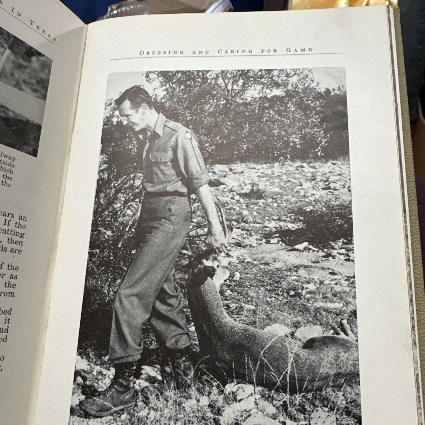 Hunting the White-Tailed Deer In Texas - Weston (1954)