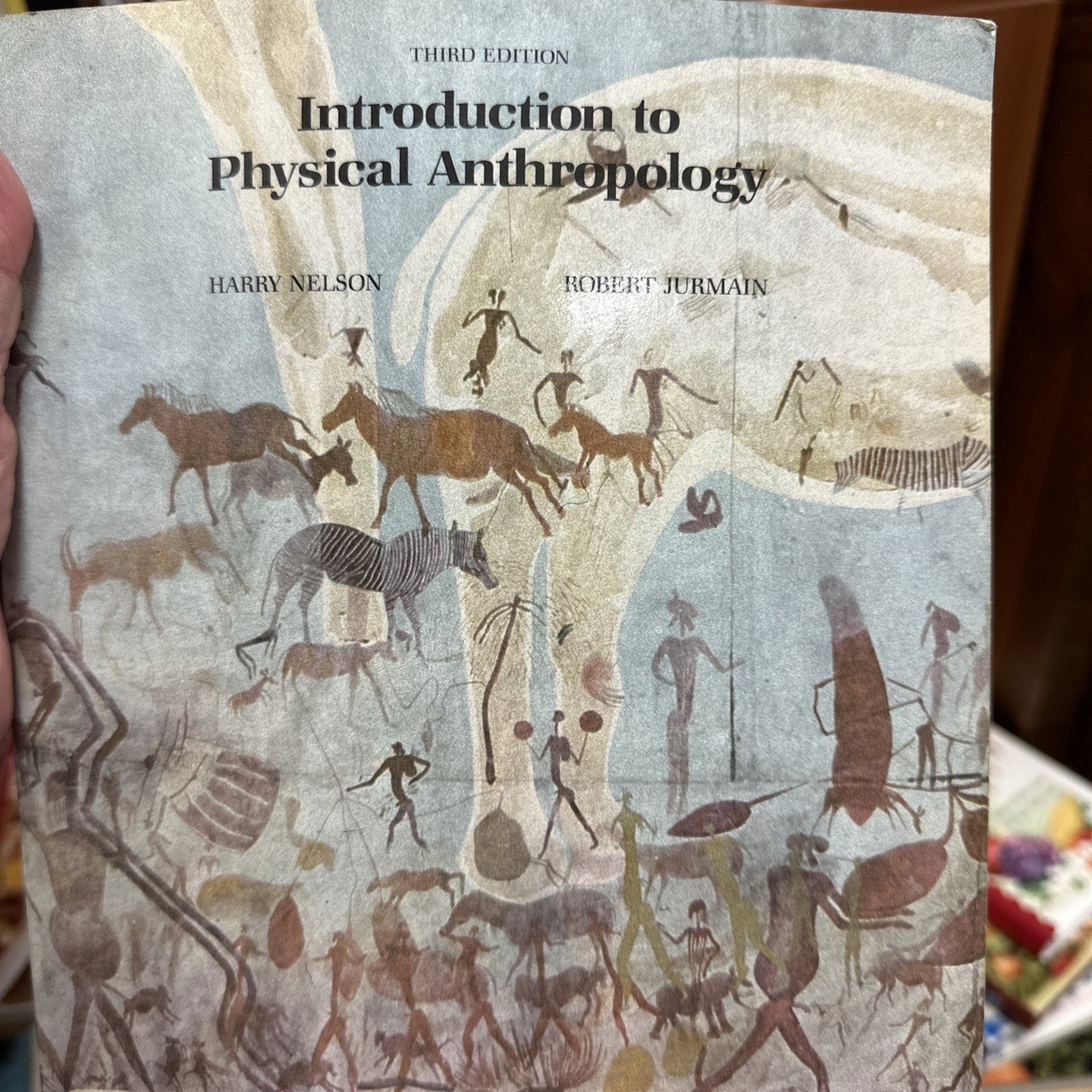Introduction To Physical Anthropology 3rd Edition Vintage