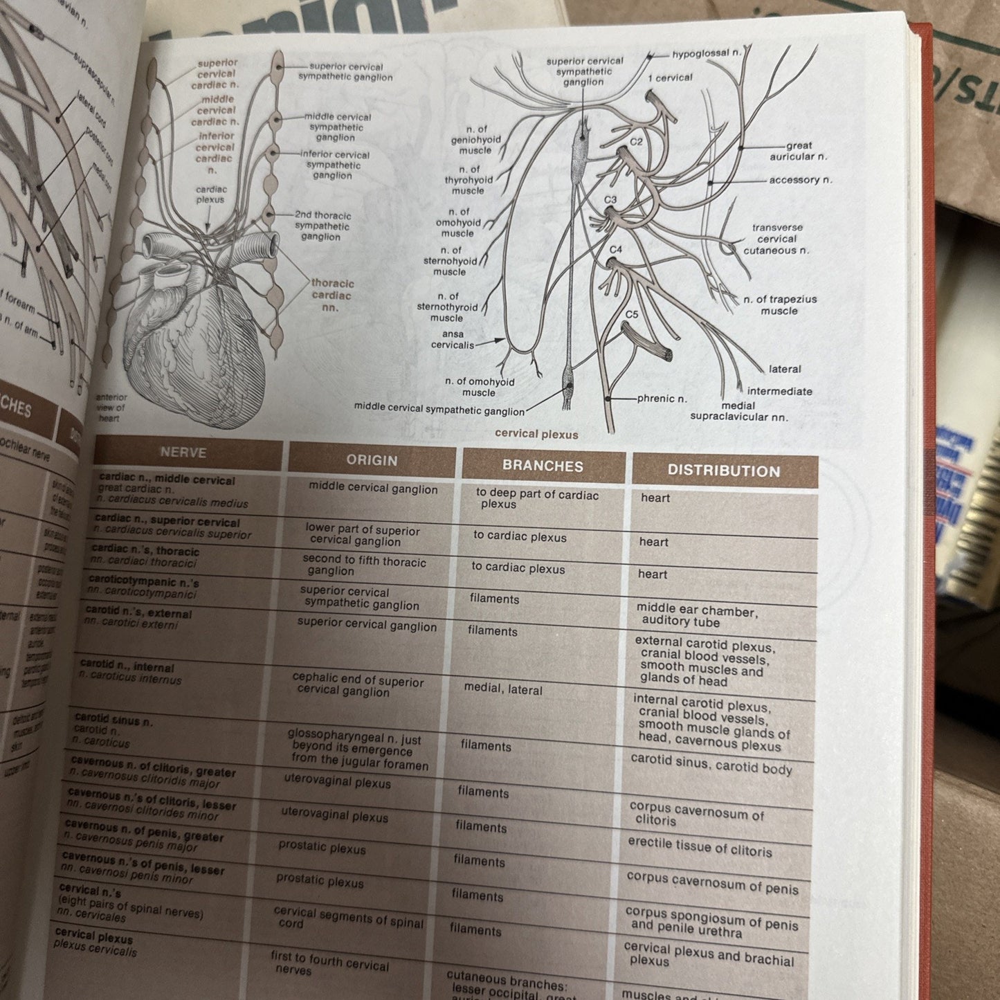 Melloni's Illustrated Medical Dictionary Dox Melloni Eisne 1979 Hardcover Book