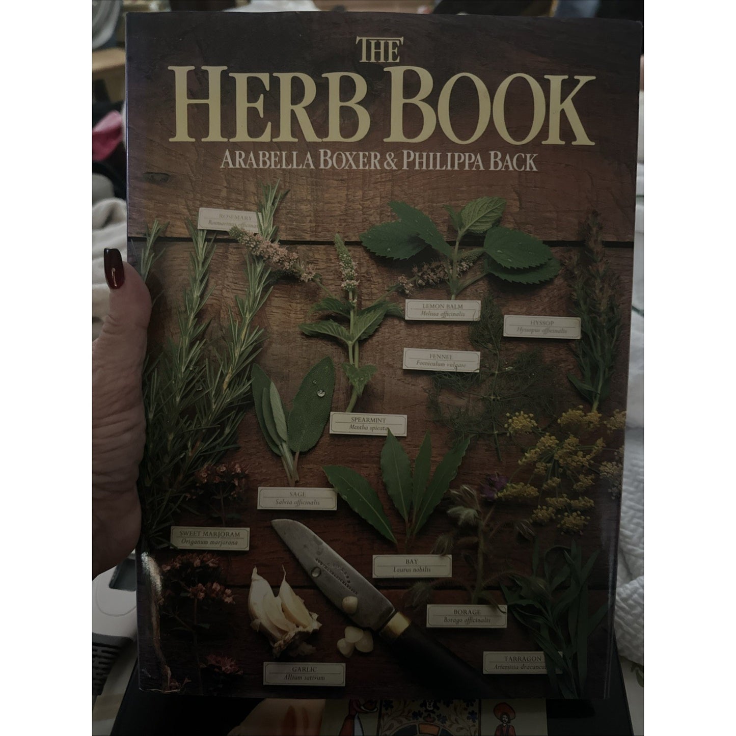 Vintage The Herb Book by Philippa Back and Arabella Boxer (1987 Hardcover)