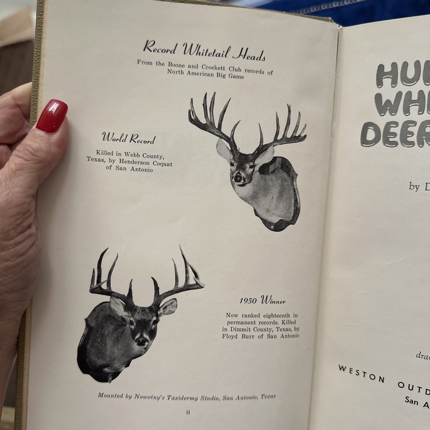 Hunting the White-Tailed Deer In Texas - Weston (1954)