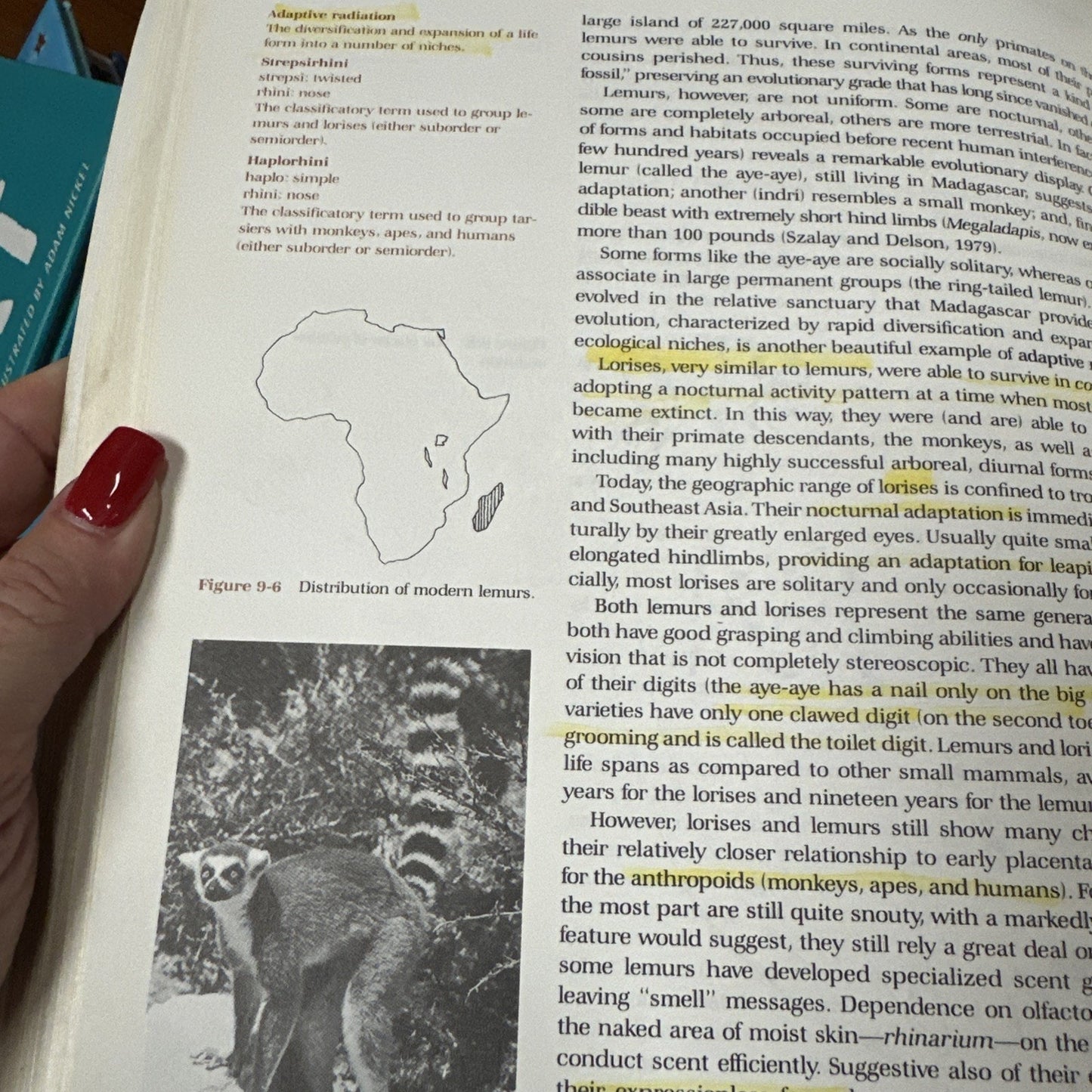 Introduction To Physical Anthropology 3rd Edition Vintage