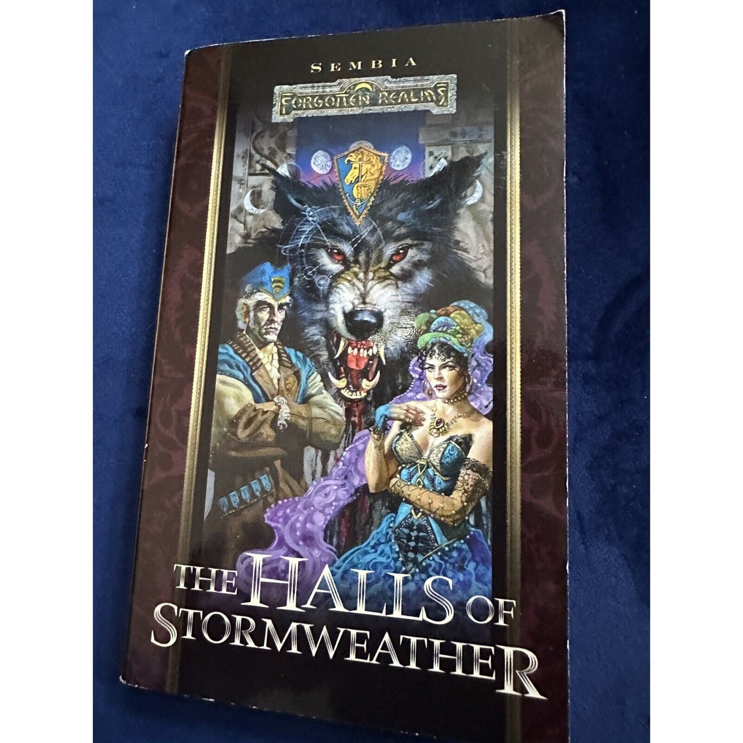 Forgotten Realms The Halls Of Stormweather Vintage PB