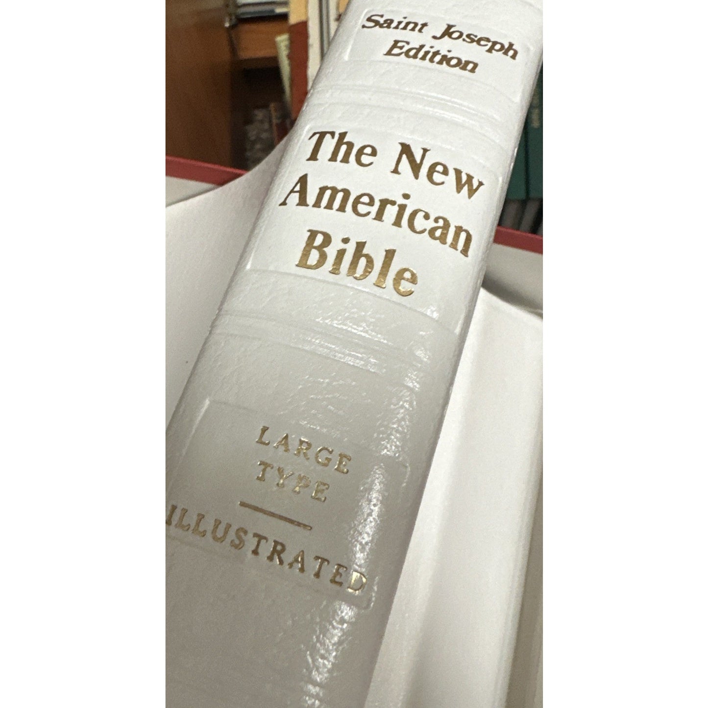 New American Bible ~ Large typeface~Illustrated Catholic Publishing Company New