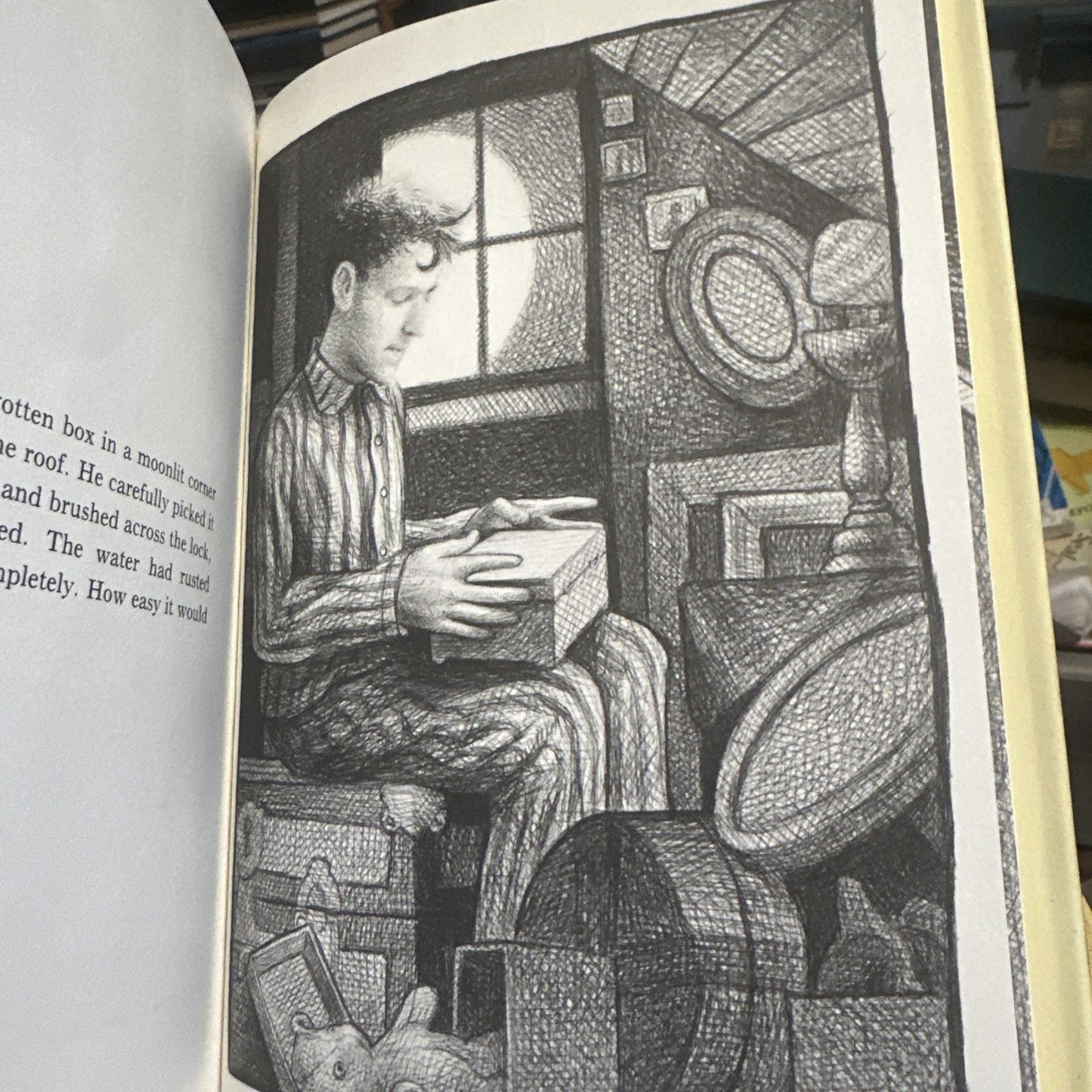 The Houdini Box by Brian Selznick (1991, Hardcover) First Edition Signed