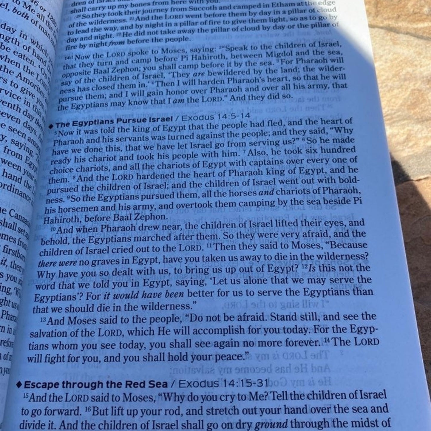 The One Year Chronological Bible 52 Weeks: Know the Bible