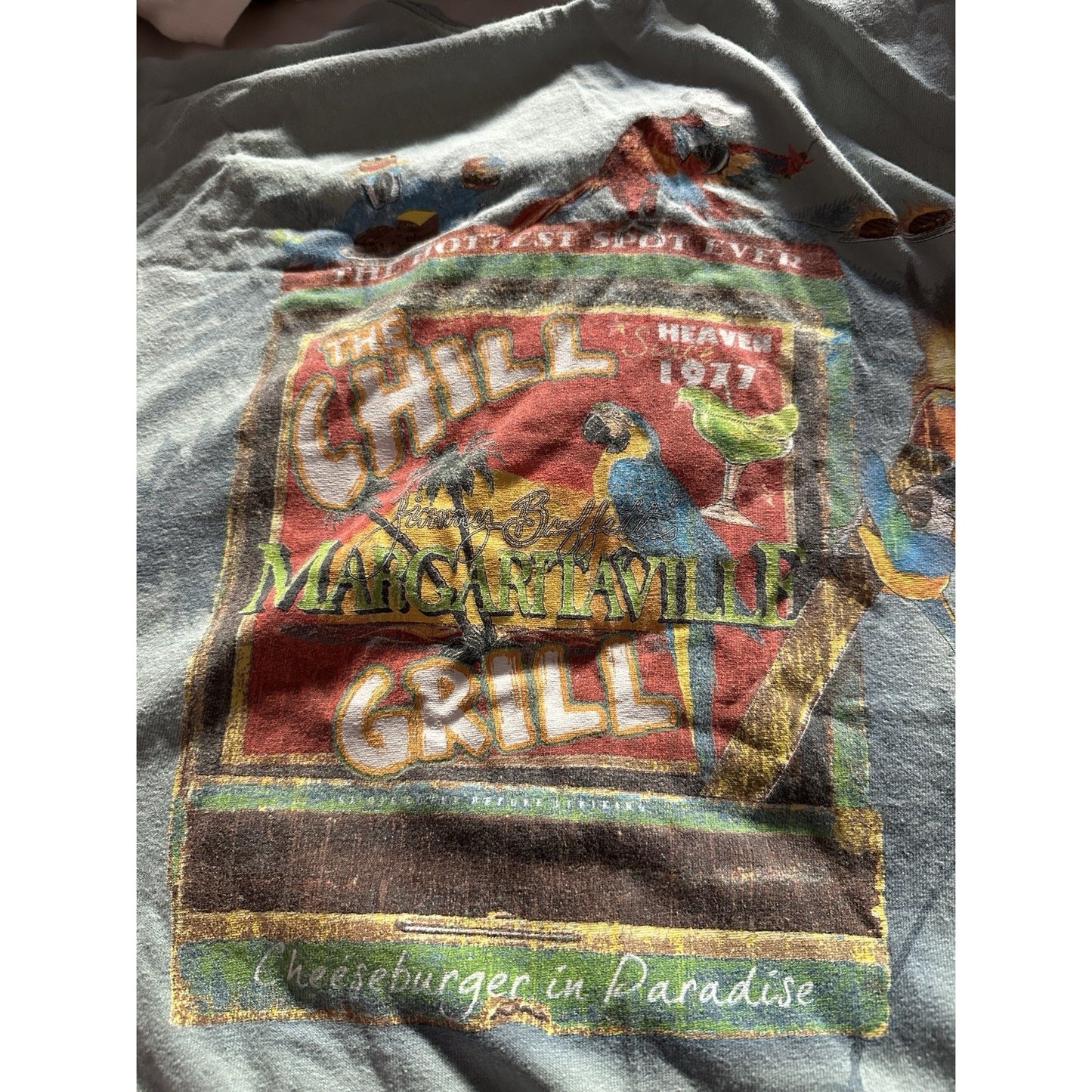 Caribbean Soul Jimmy Buffett Vintage Tshirts Lot of 10 - USED XL