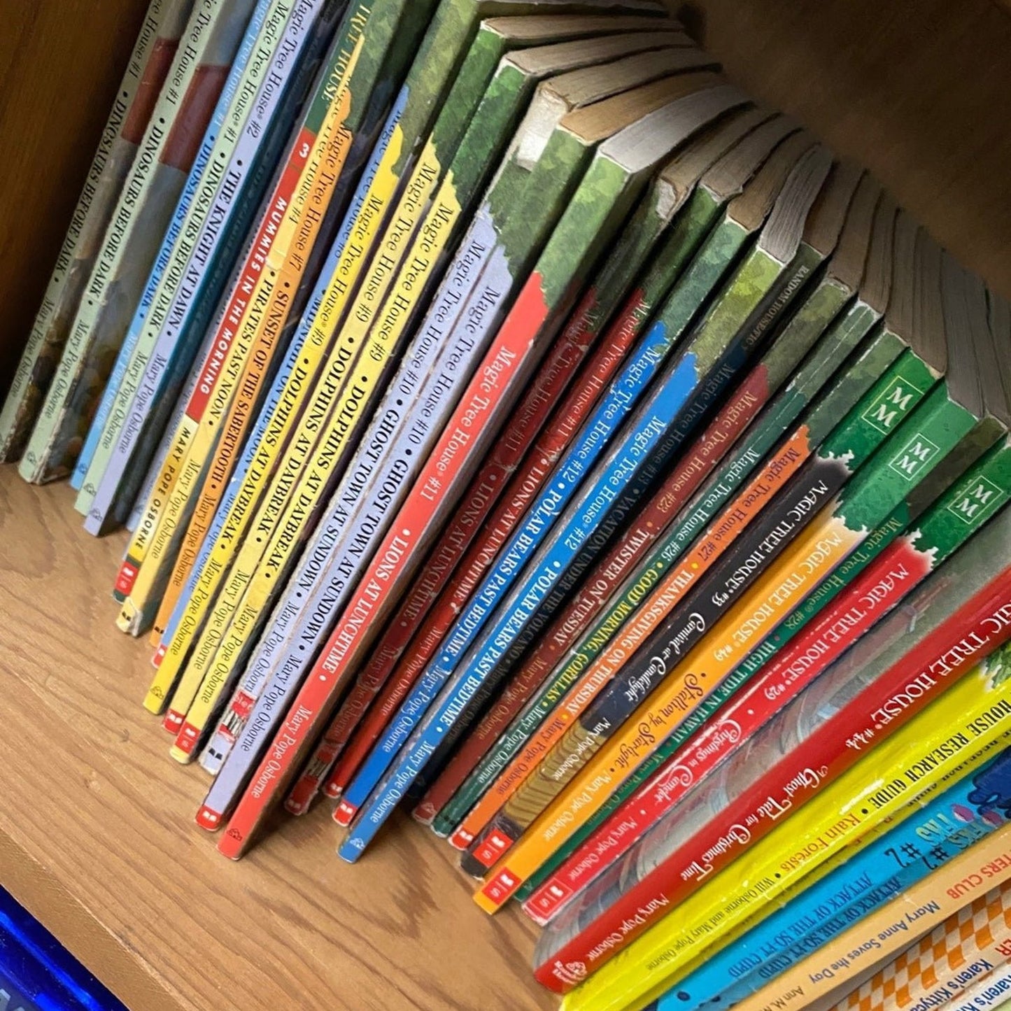 20 pounds of Children chapter books