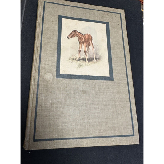 The Red Pony Hardcover Book by John Steinbeck The Viking Press 1945