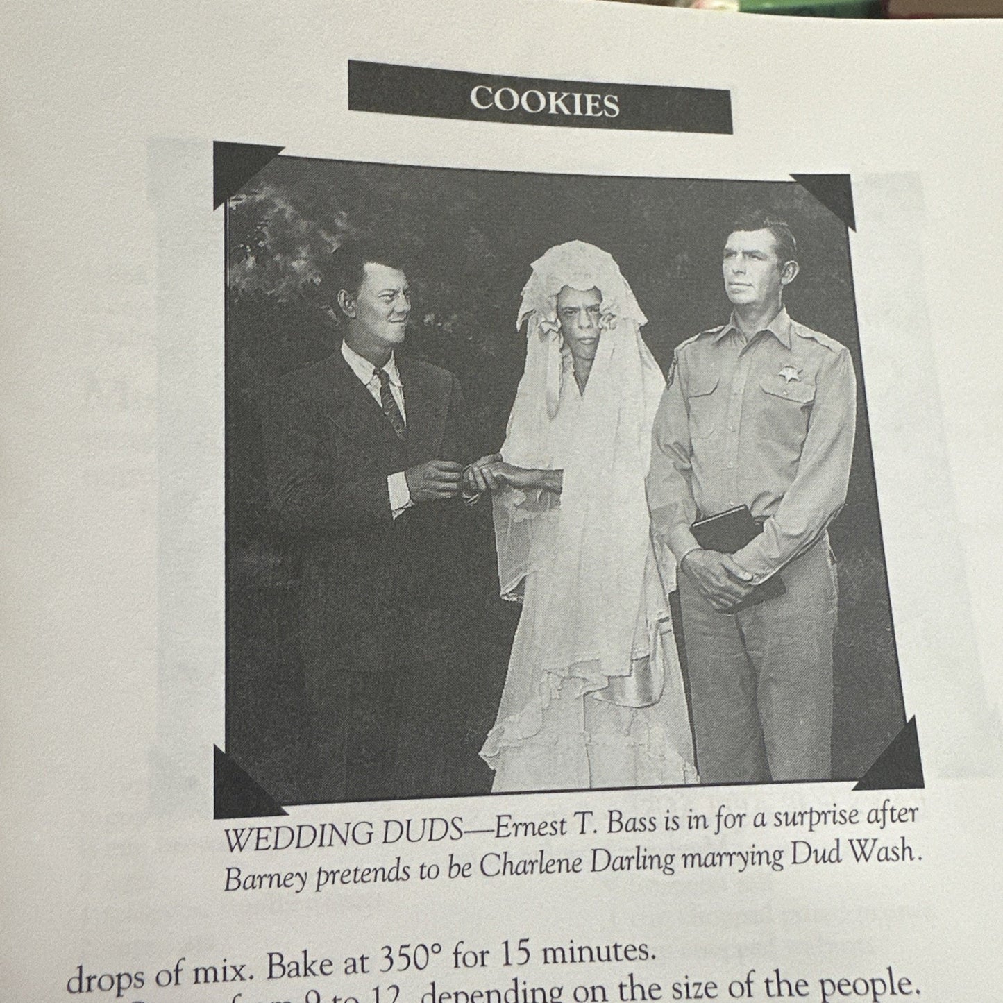 Aunt Bee's Delightful Desserts Vintage Book