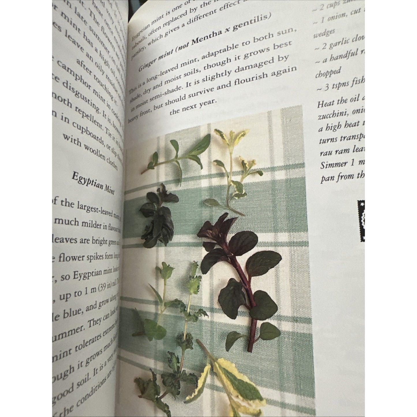 Book Of Mint