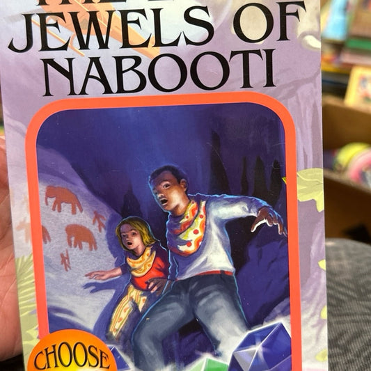 Choose Your Own Adventure Paperback Chapter Books