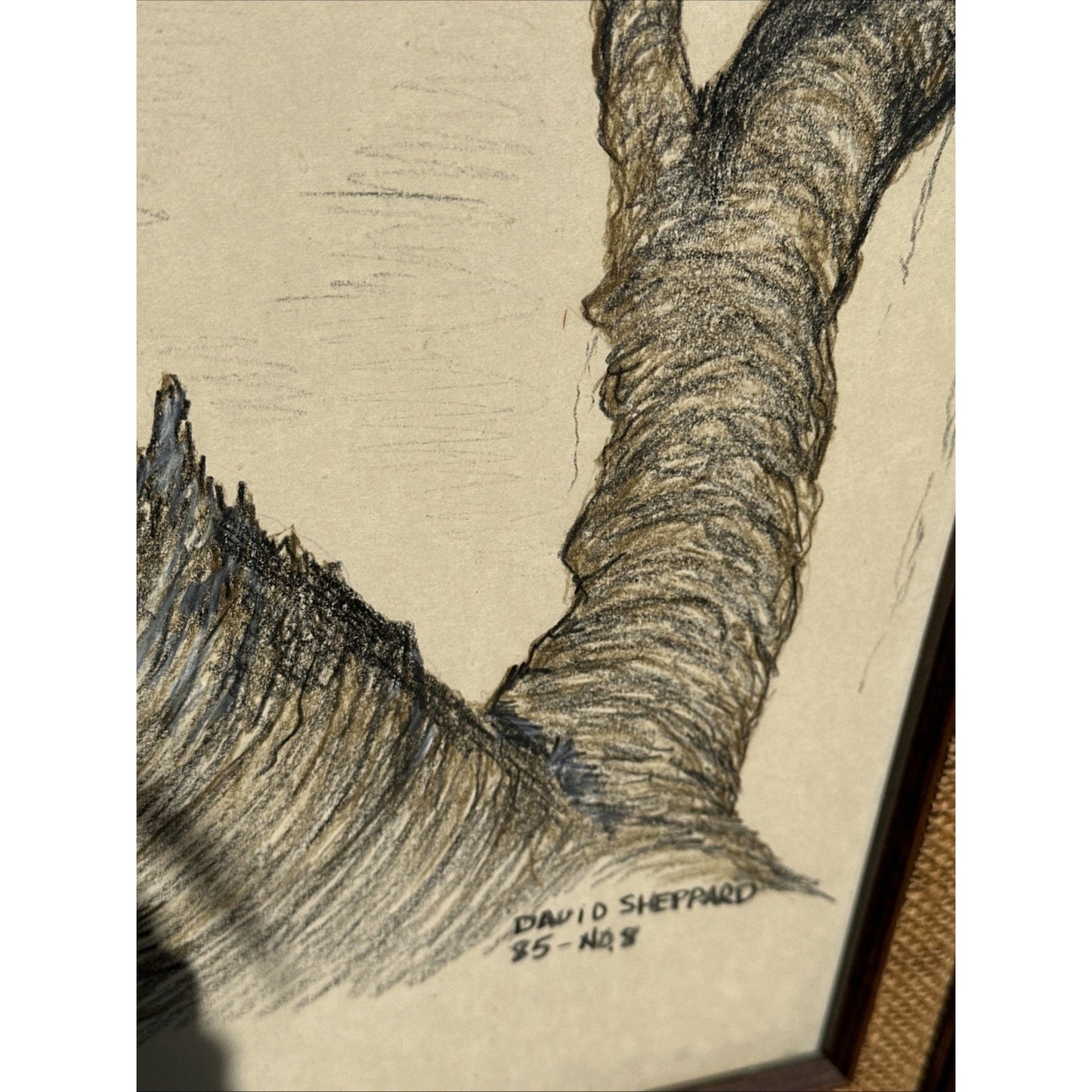 Beautiful Vintage Sketch Barn Owls, Signed David Shepard 29 x 25 One Of A Kind