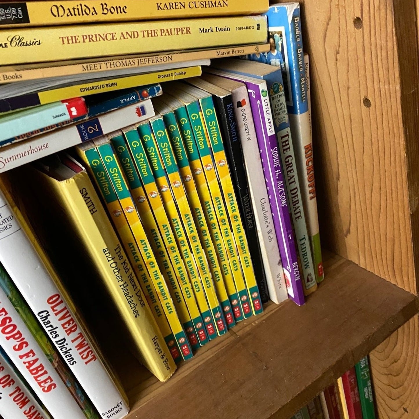20 pounds of Children chapter books