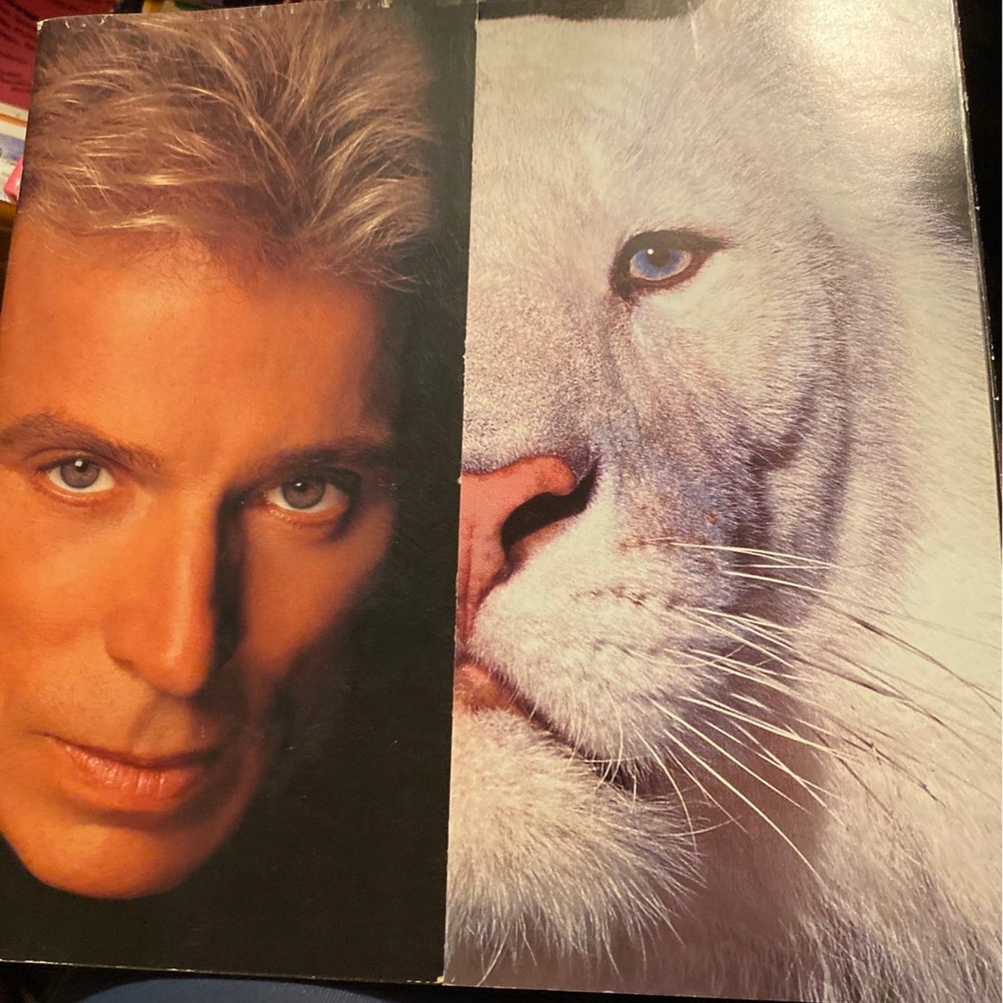 Siegfried & Roy Las Vegas Program