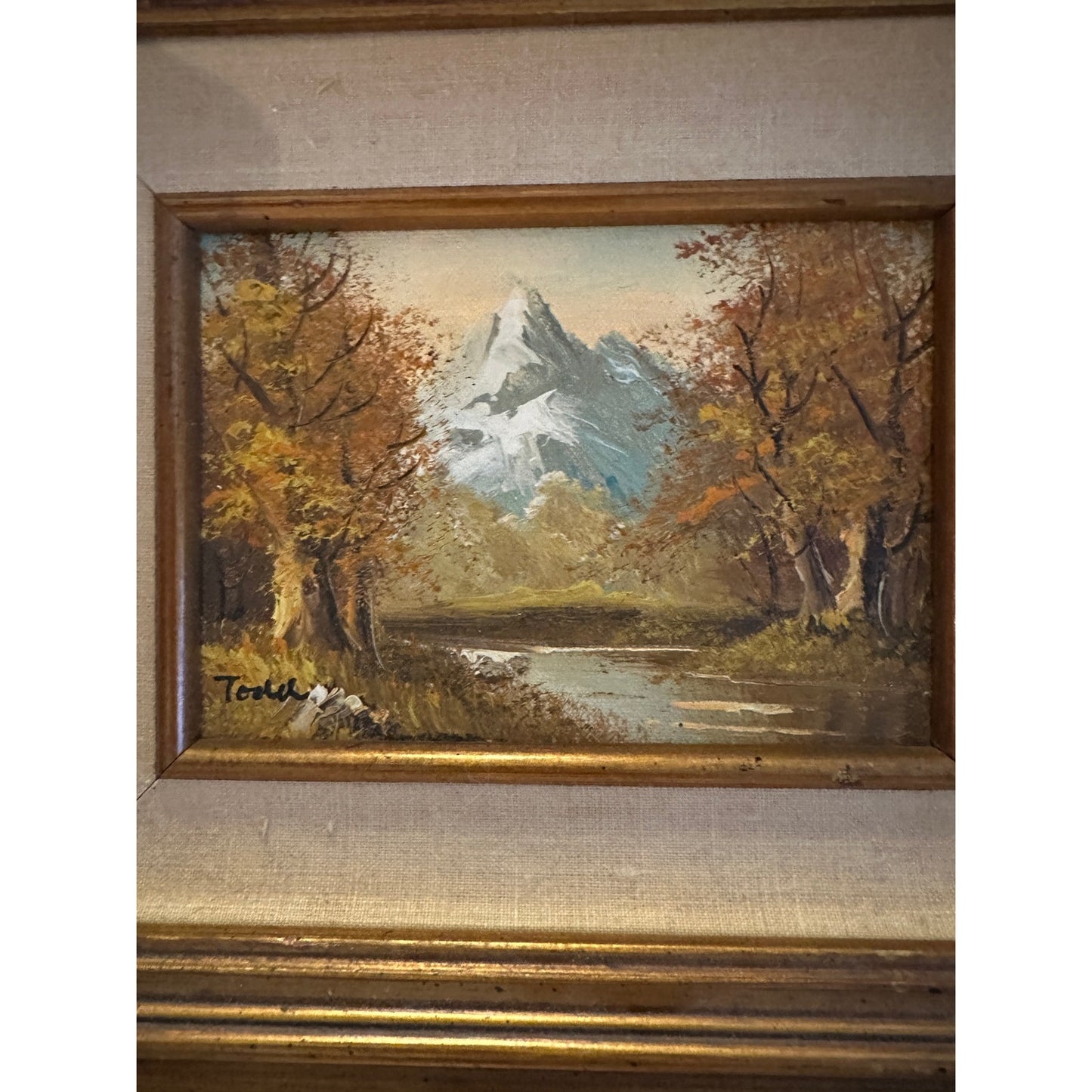 Original Oil Painting Mountain Landscape Oil on Canvas Signed "Todd"