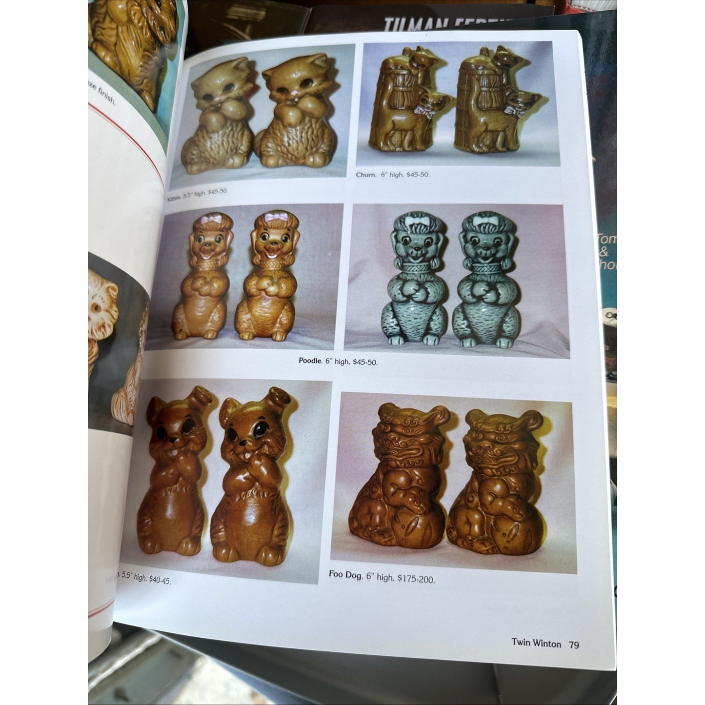 Sylvia Tompkins Salt & Pepper Shakers (Paperback)