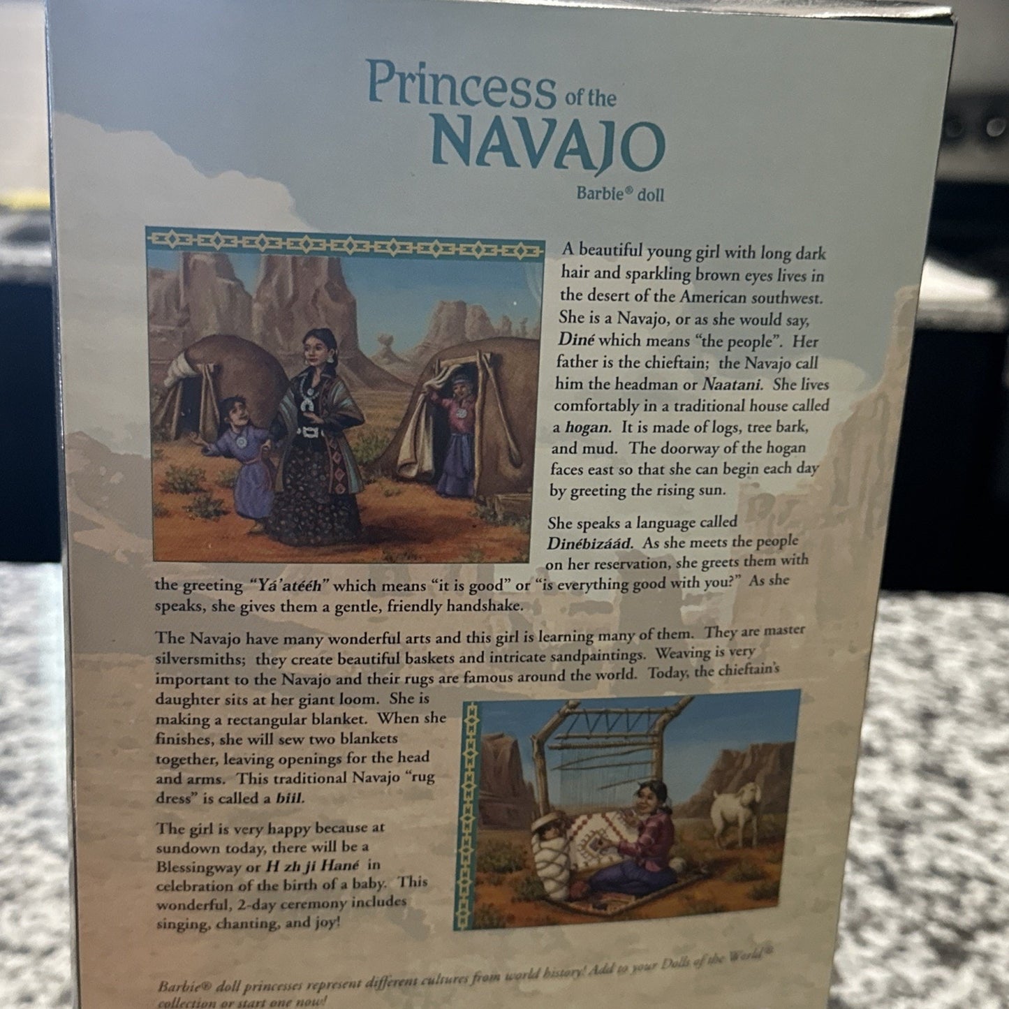 Princess of the Navajo 2004 Barbie Doll