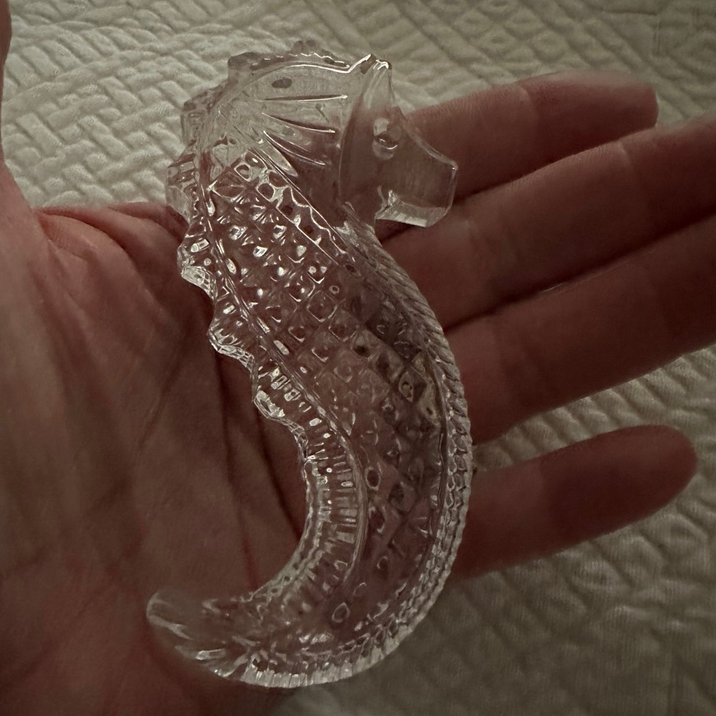 waterford crystal seahorse paper weight