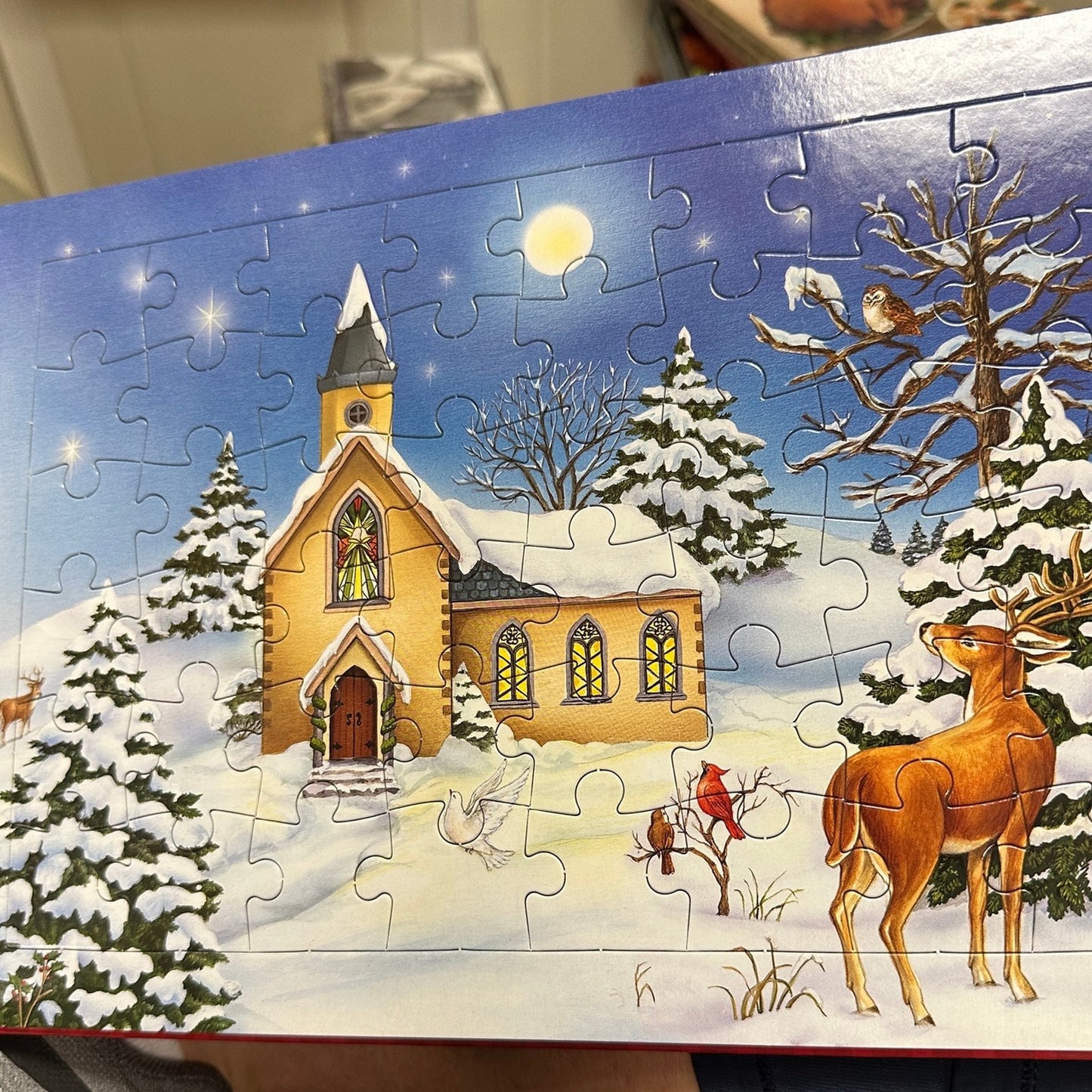 Christmas Joy Jigsaw book with CD