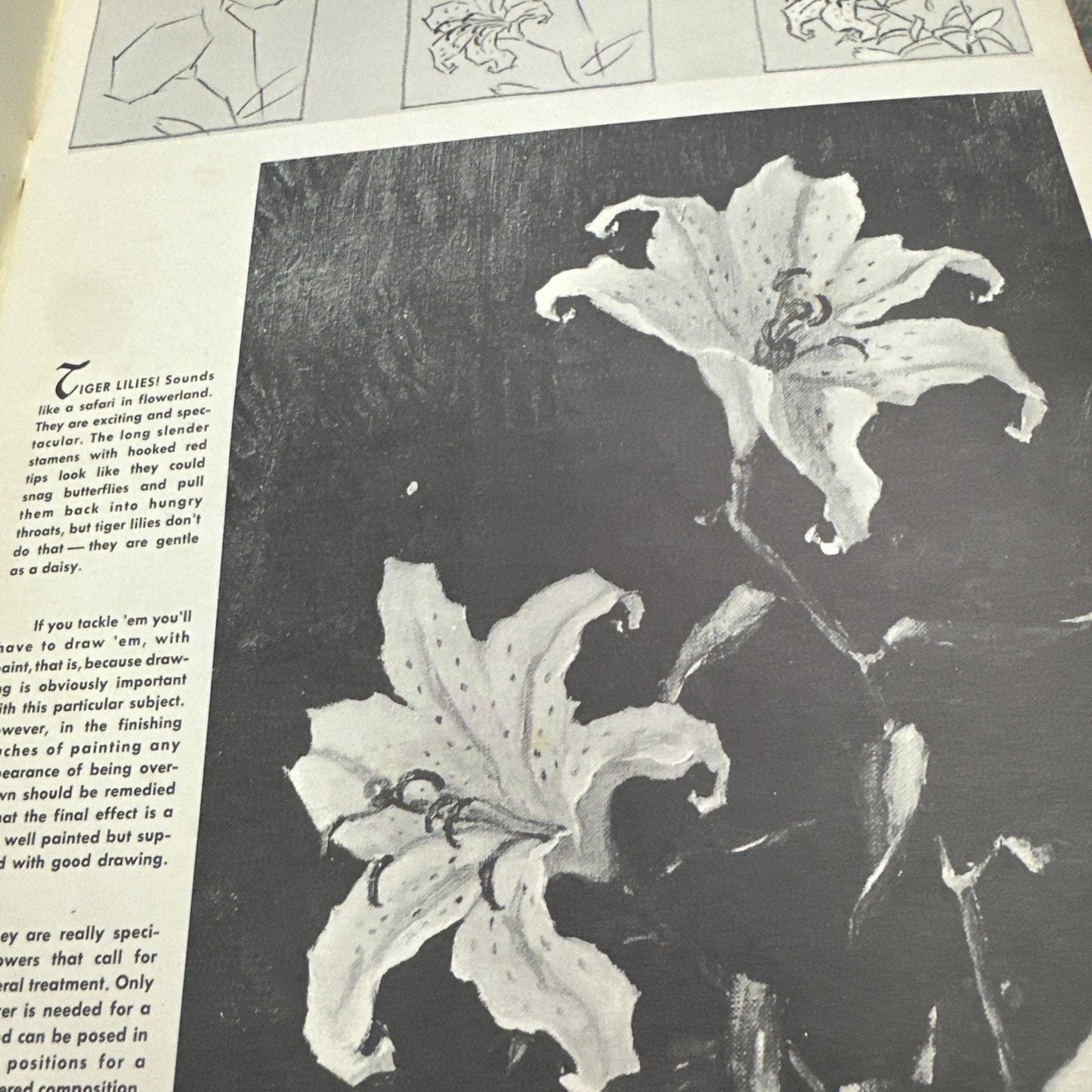 Vintage Walter Foster Art Book How Claude Parsons Paints Flowers Vintage