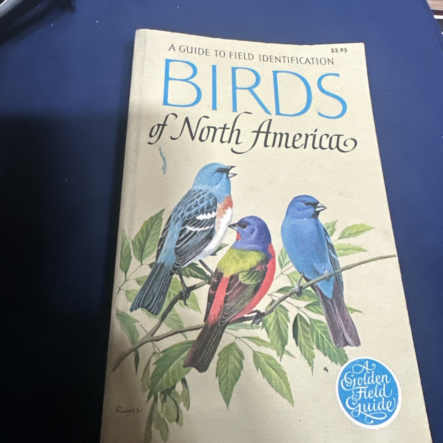 A Guide to Field Identification of Birds in North America Paperback 1966