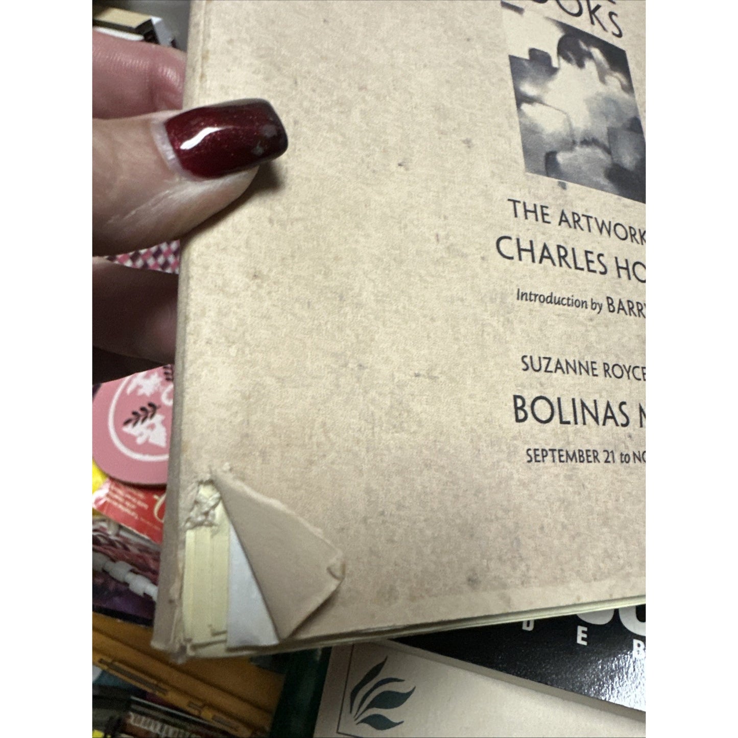 Why I Love Books; The Artworks of Charles Hobson 2002 Softcover)