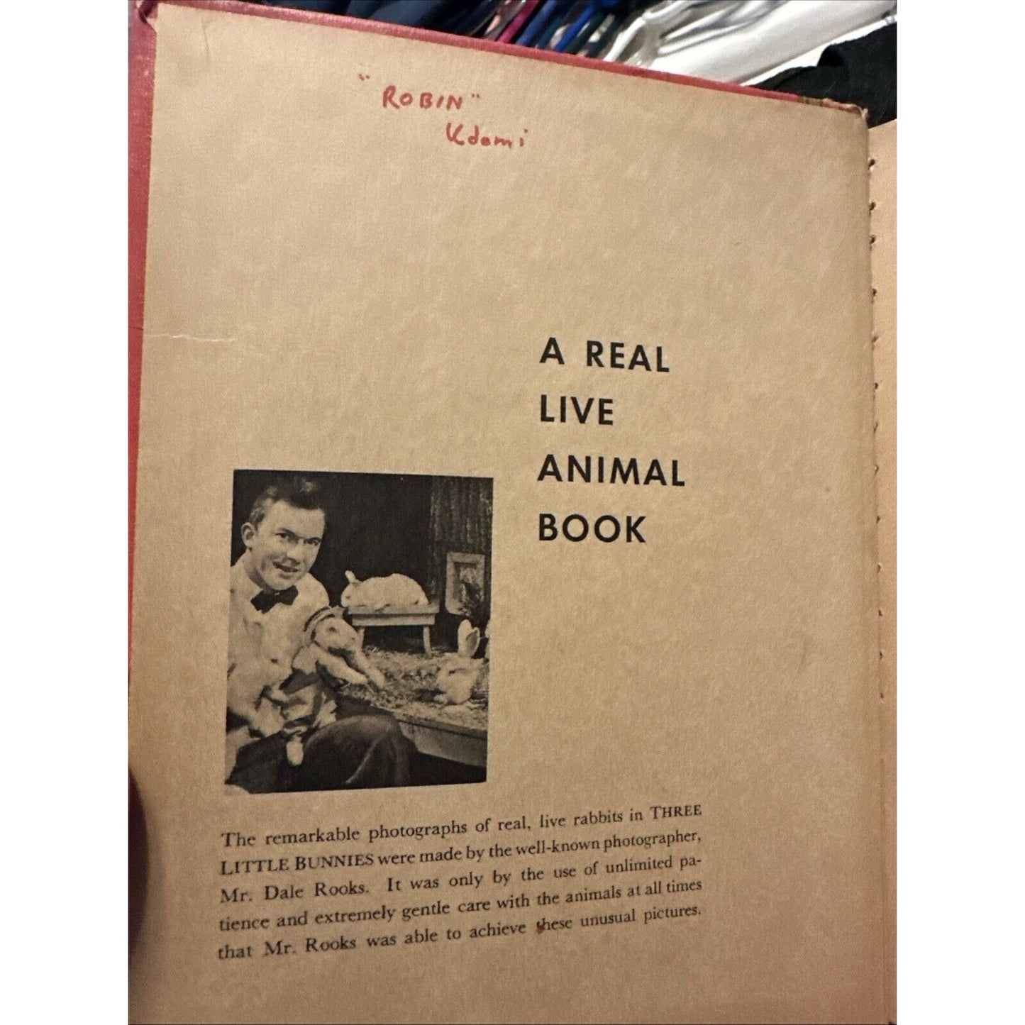 Three Little Bunnies : A Real Live Animal Book. Tip-Top Elf Book by Ruth Dixon