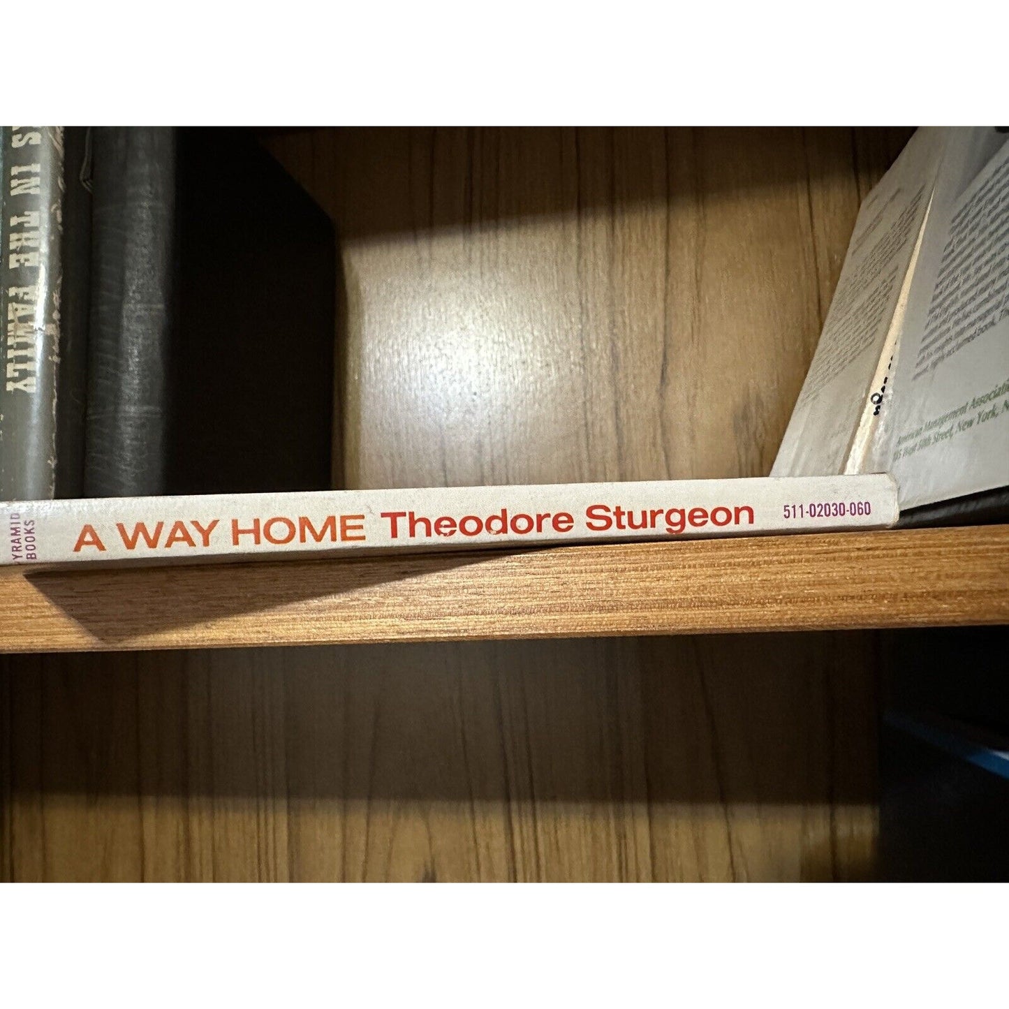 A Way Home by Theodore Sturgeon - vintage 1969 Pyramid sci-fi paperback