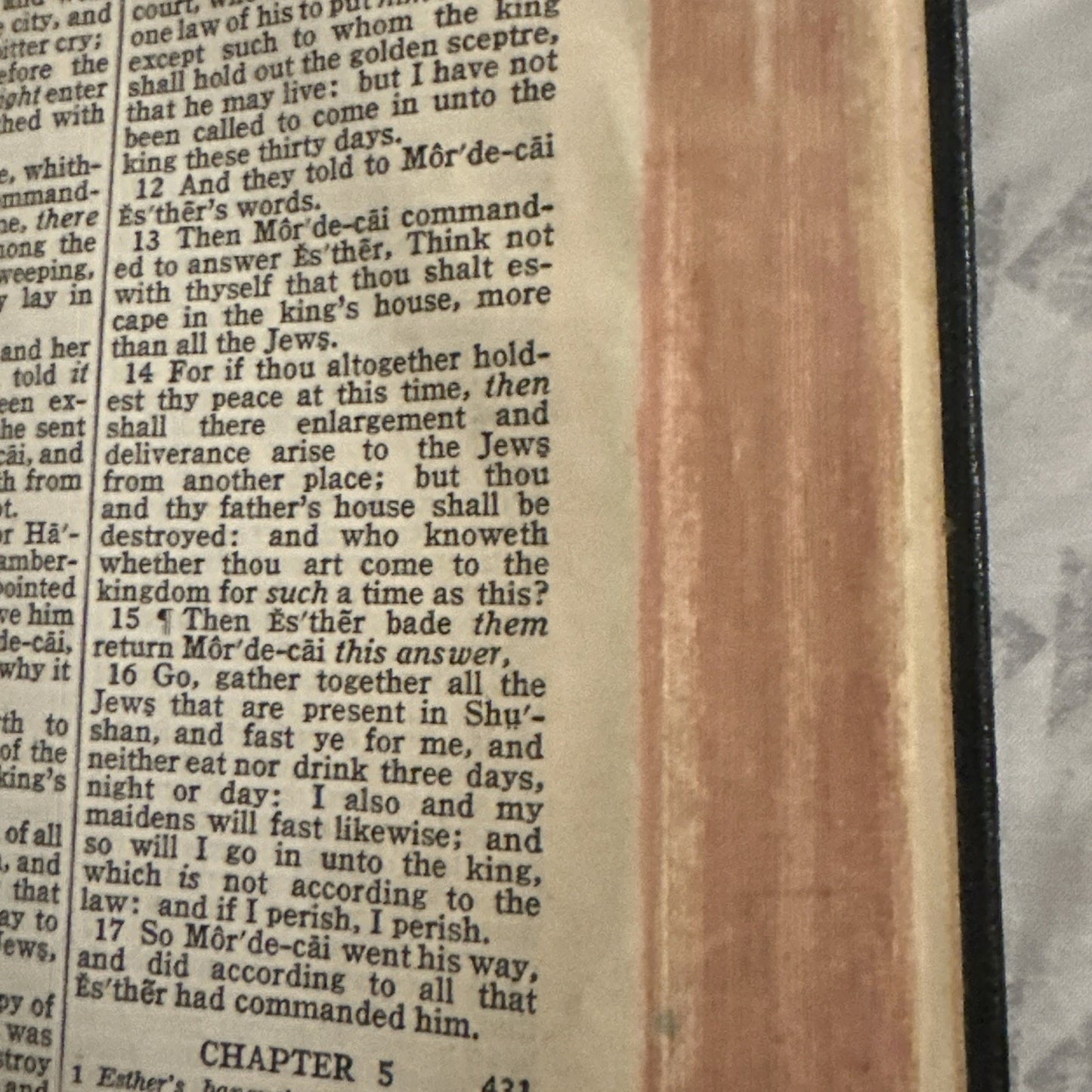Vintage Thomas Nelson Holy Bible KJV King James Version Illustrated Pronouncing