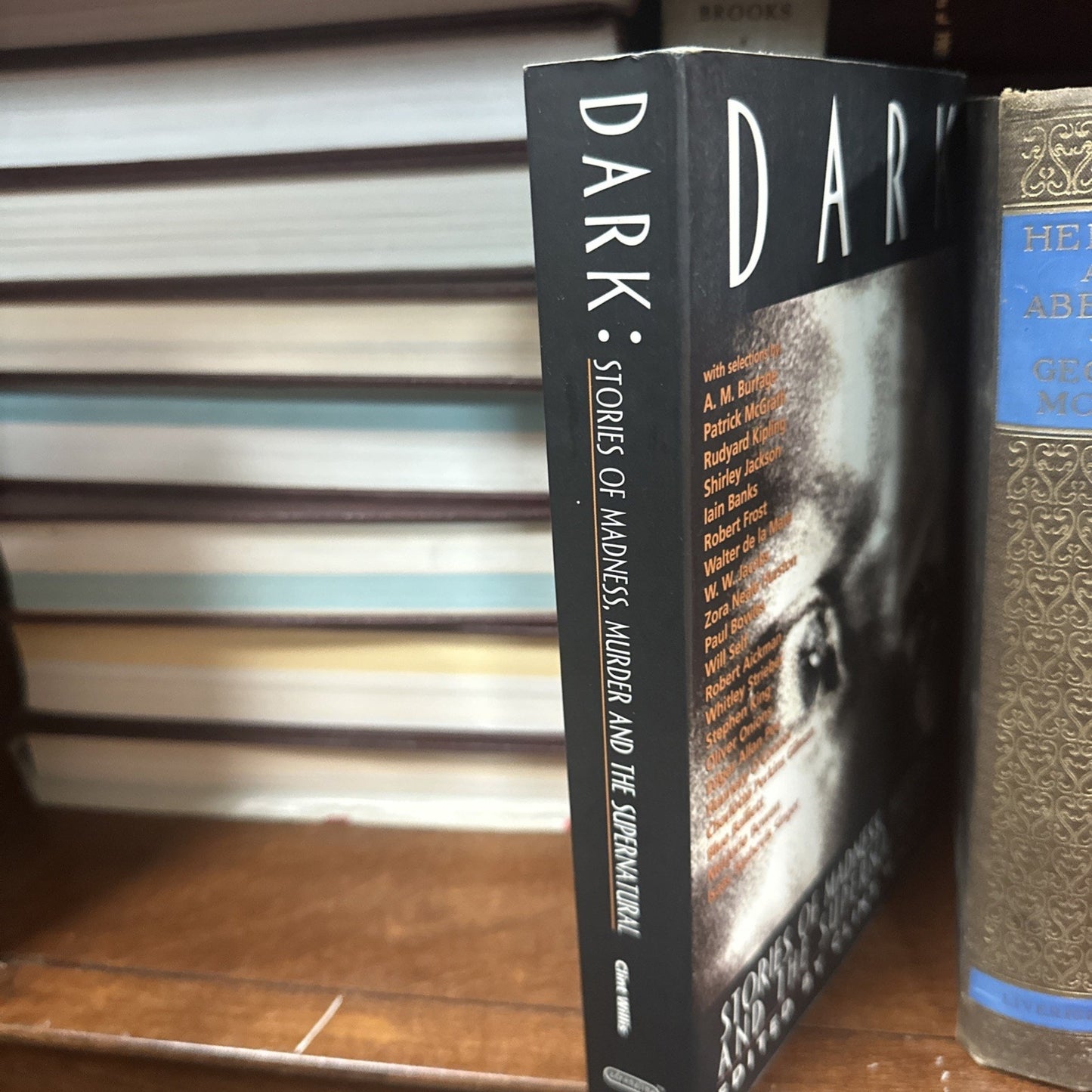 Dark: Stories of Madness, Murder and the Supernatural - Clint Willis (softcover)