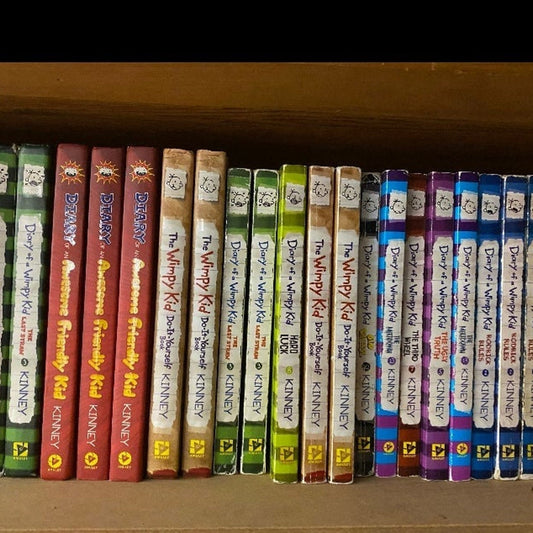 20 pounds of Children chapter books