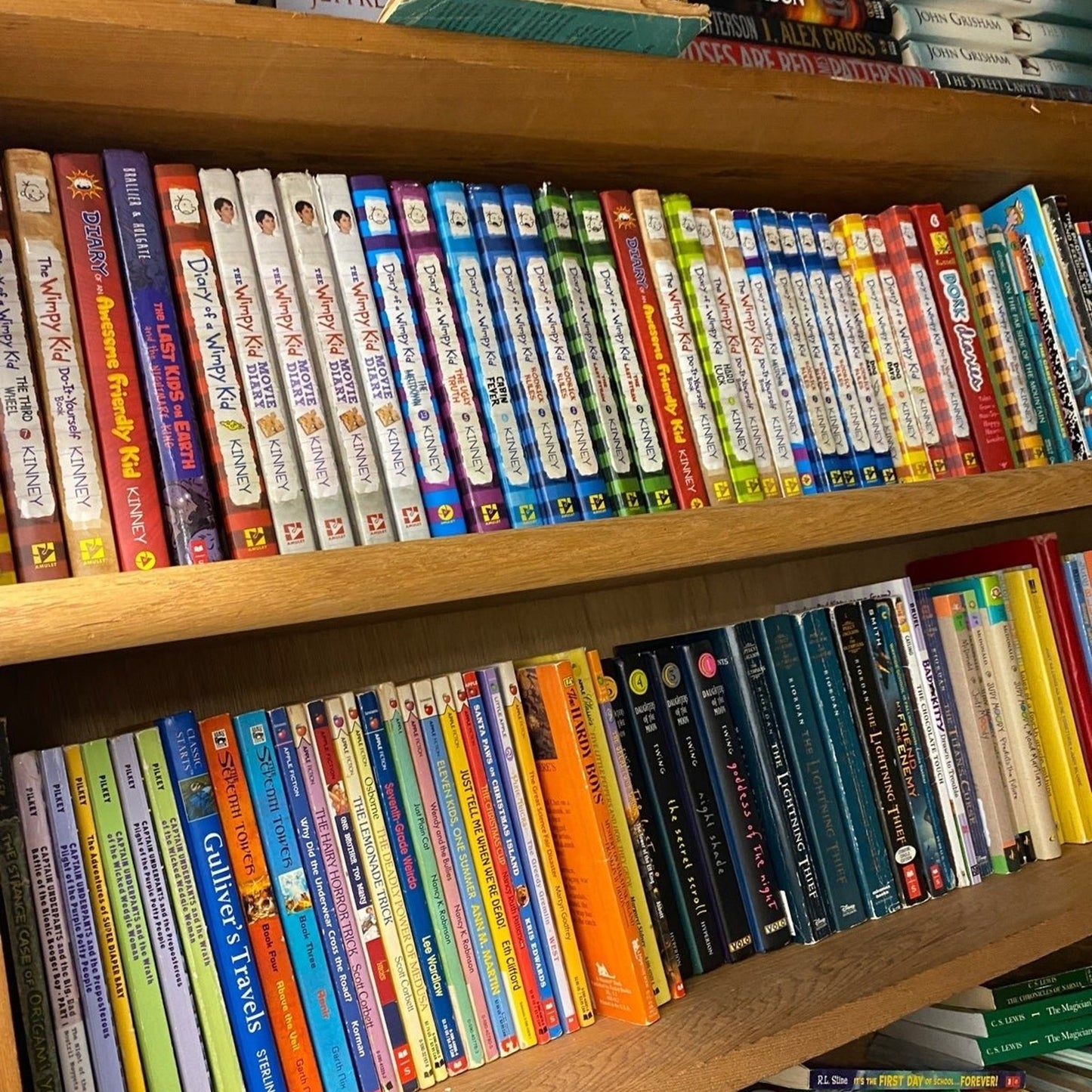 20 pounds of Children chapter books