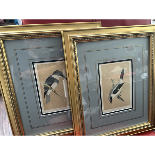 Two Framed Original C. 1870 Print & Description - Morris' British Birds