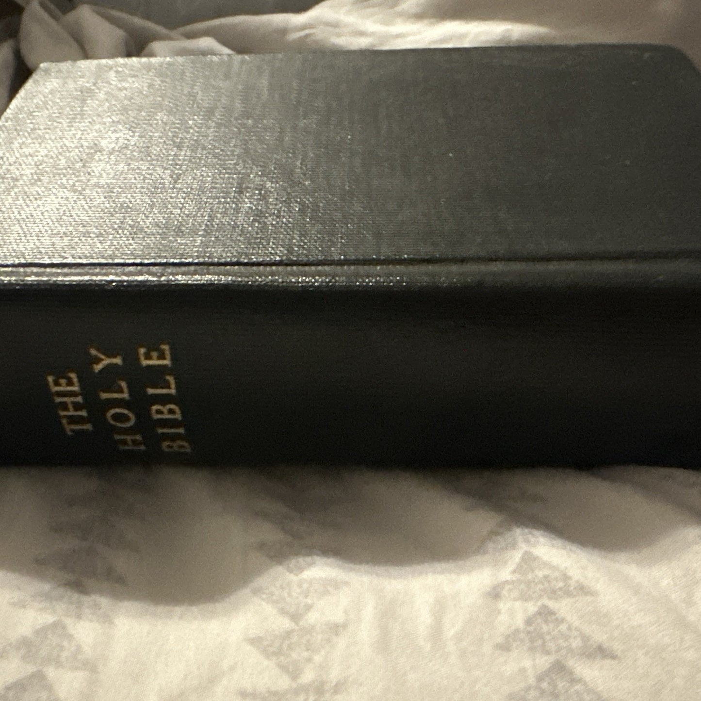 Vintage Thomas Nelson Holy Bible KJV King James Version Illustrated Pronouncing