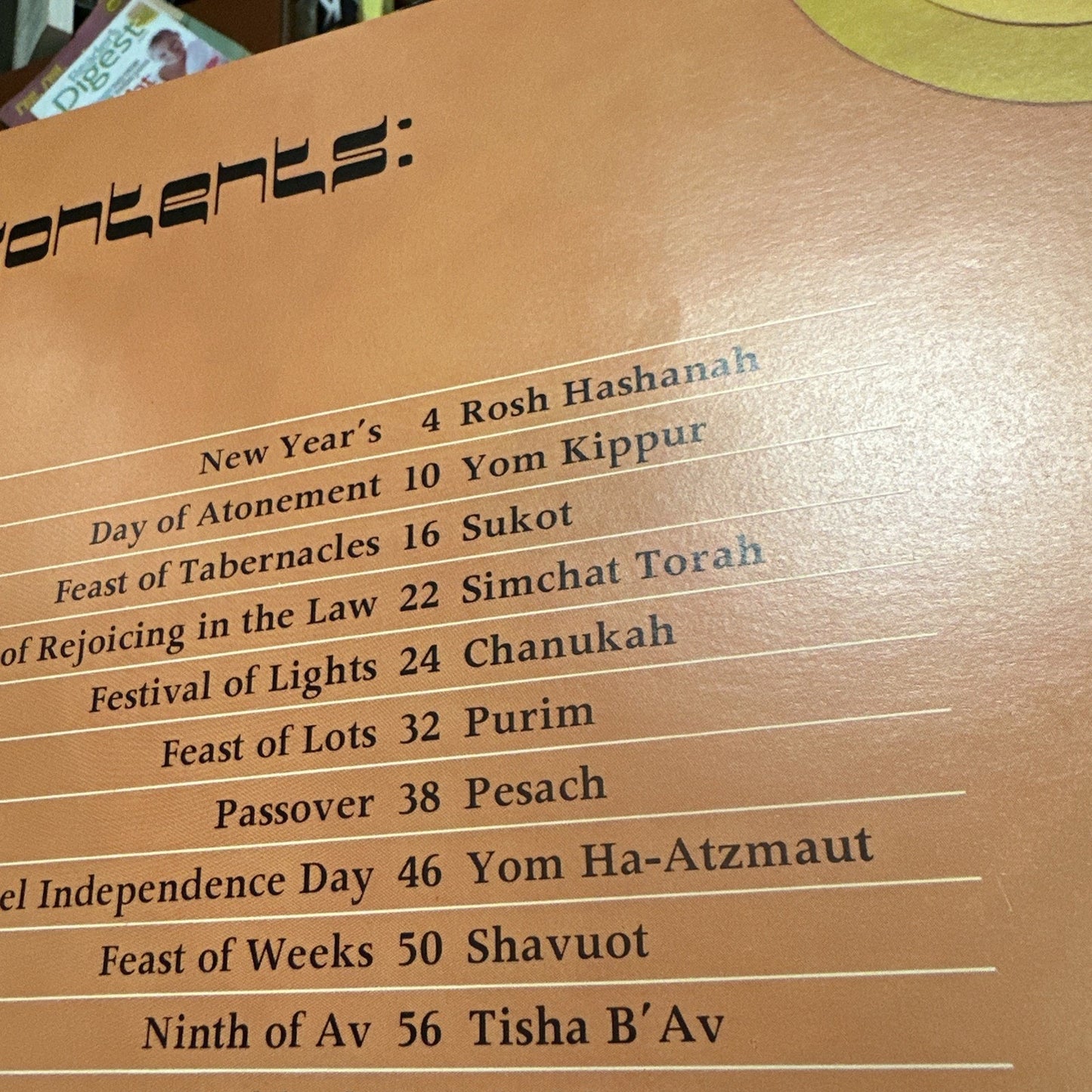 Jewish Days & Holidays By Greer Fay Cashman & Alona Frankel  Jewish Holiday Book