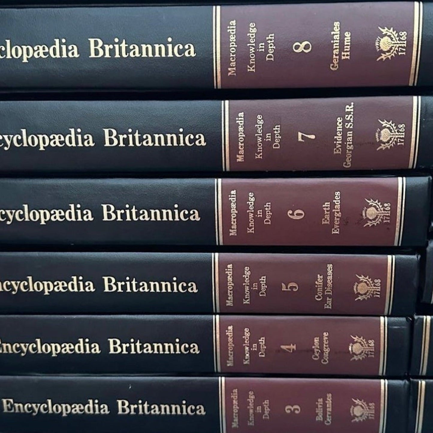 Encyclopedia Britannica Platinum 15th