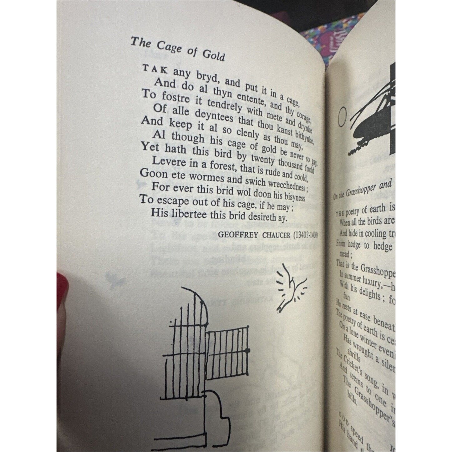 Vtg PB book, The Neighbours, An Animal Anthology by Fougasse, 1957