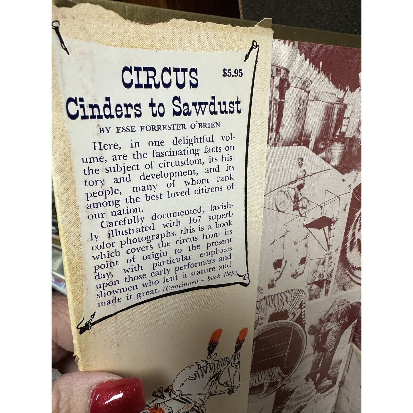 1959 Vintage Circus Book "Circus: Cinders to Sawdust" Illustrated, Dust Jacket