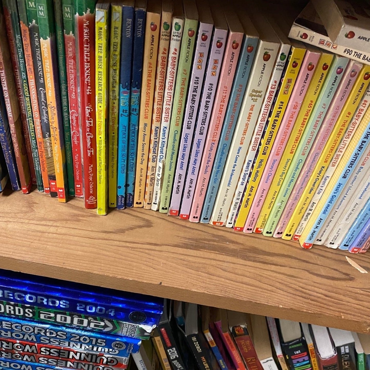 20 pounds of Children chapter books