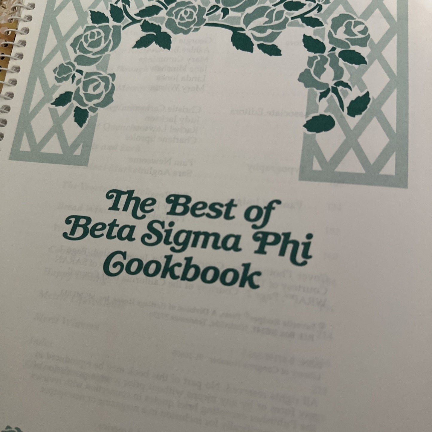 The Best Of Beta Sigma Phi Cookbook 1991 Good Condition