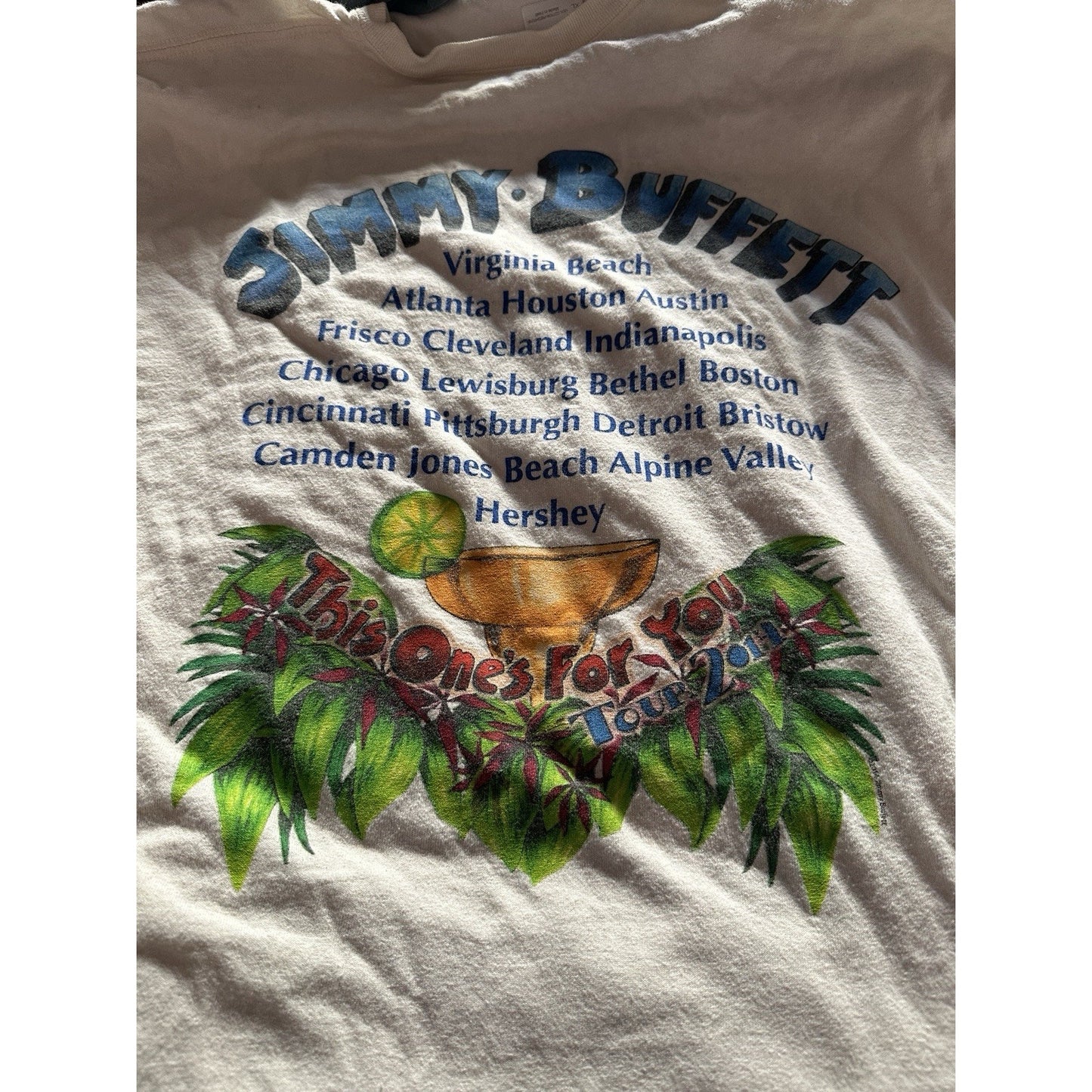 Caribbean Soul Jimmy Buffett Vintage Tshirts Lot of 10 - USED XL