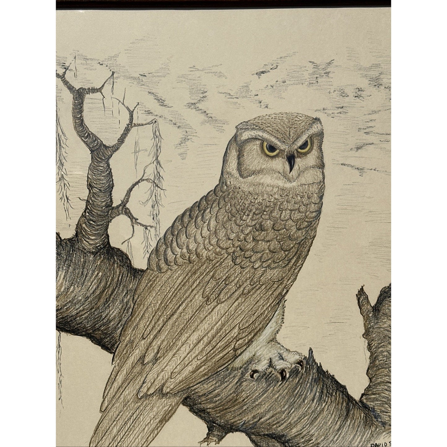 Beautiful Vintage Sketch Barn Owls, Signed David Shepard 29 x 25 One Of A Kind