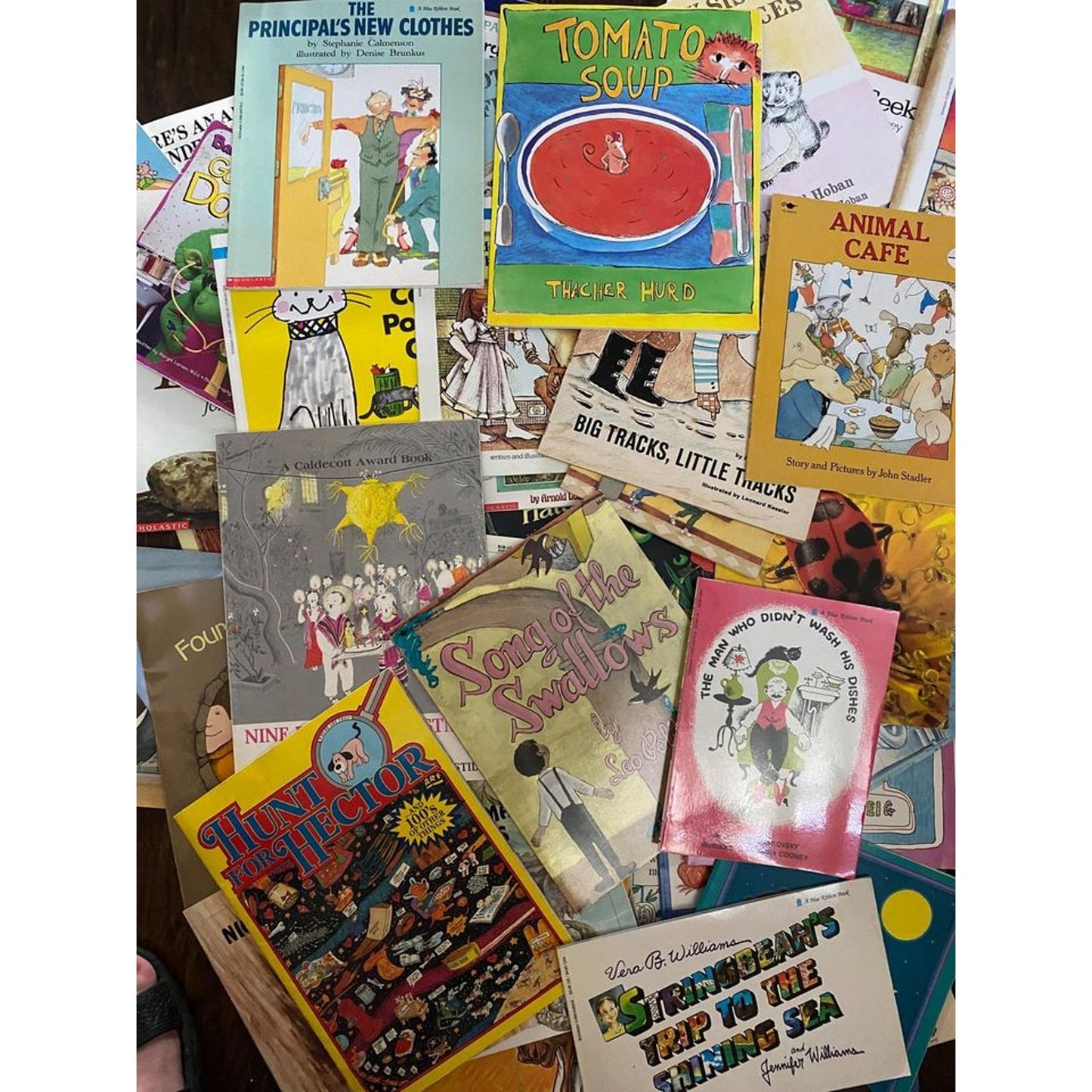 30 random children paperback books