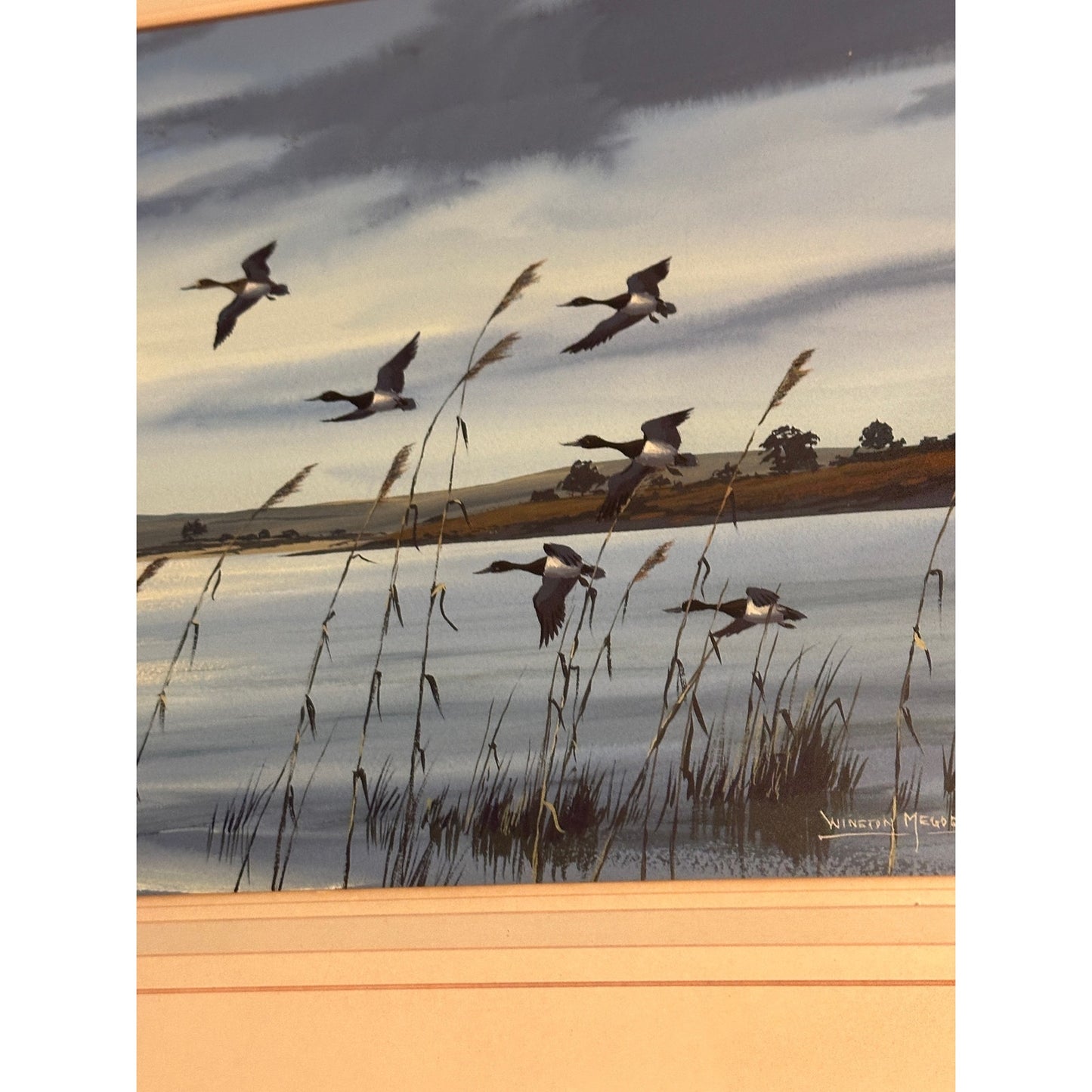 Along the coast, watercolour, signed Winston Megoran 
Water Fowl watercolor