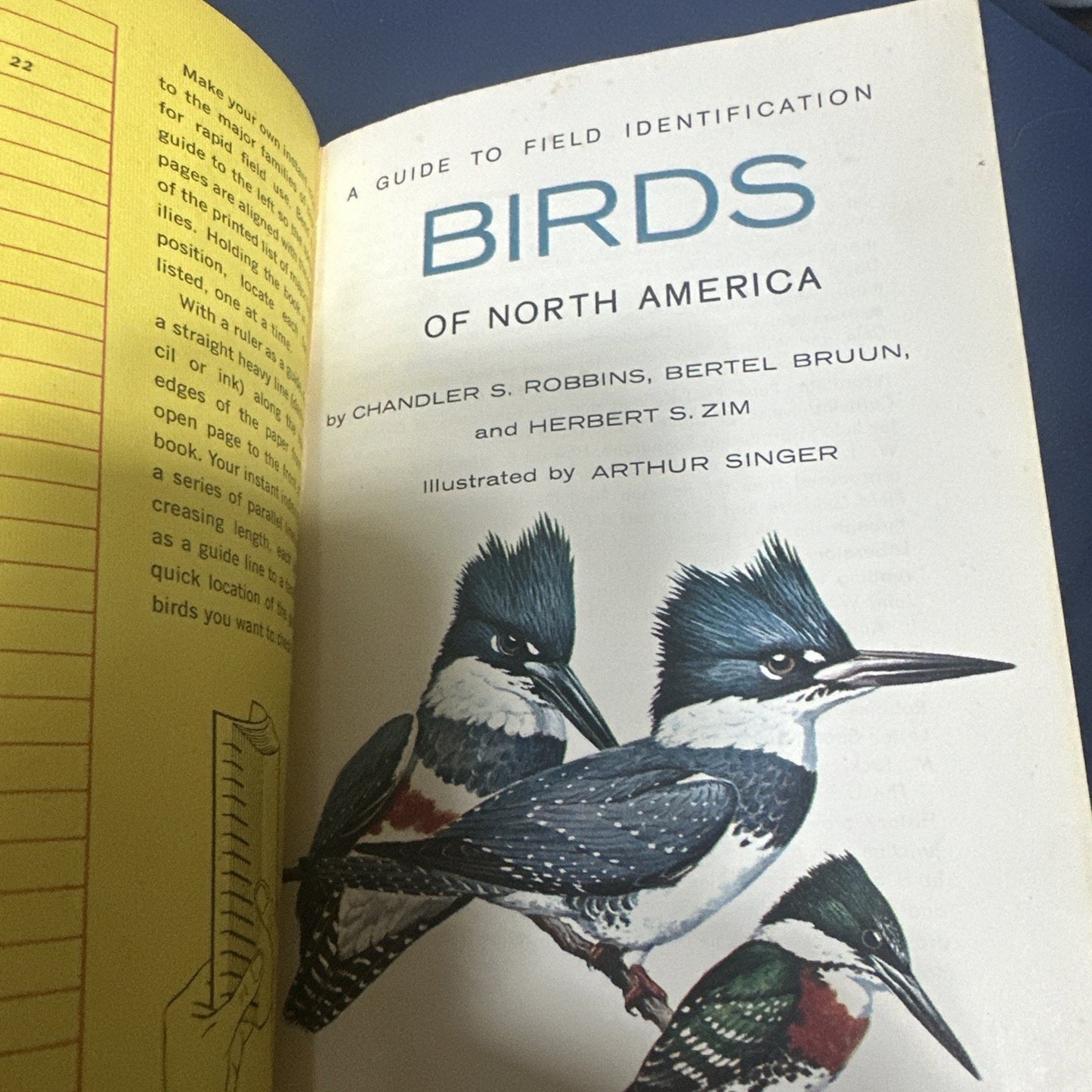 A Guide to Field Identification of Birds in North America Paperback 1966